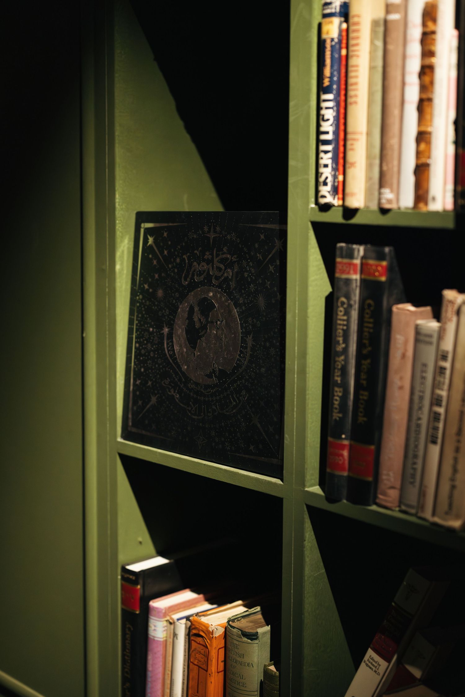 Green bookshelf corner with dark embossed book cover and colorful spines including Desert Light title.