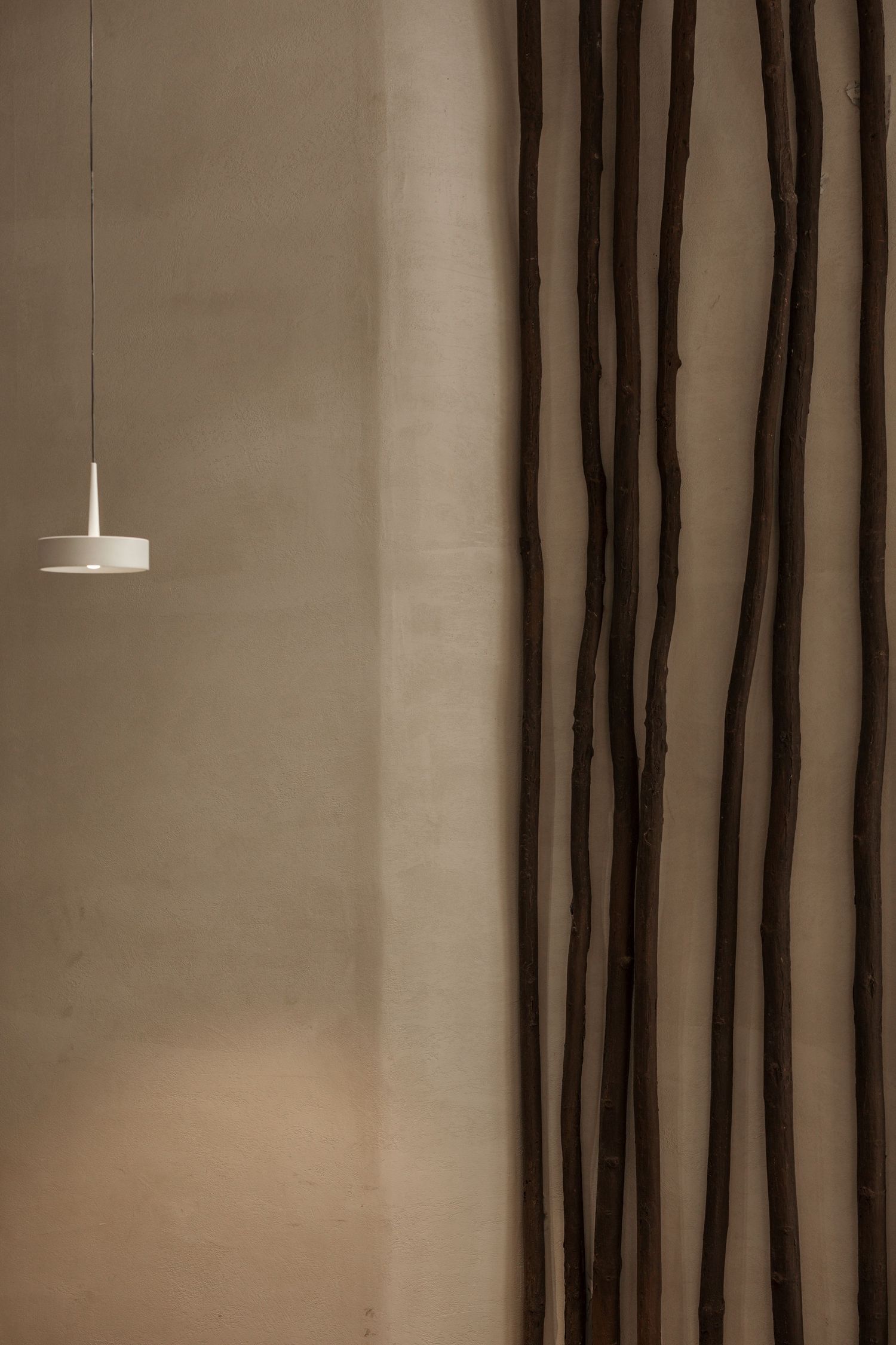 Minimalist beige wall with organic dark wood branch installations and a single white pendant light.