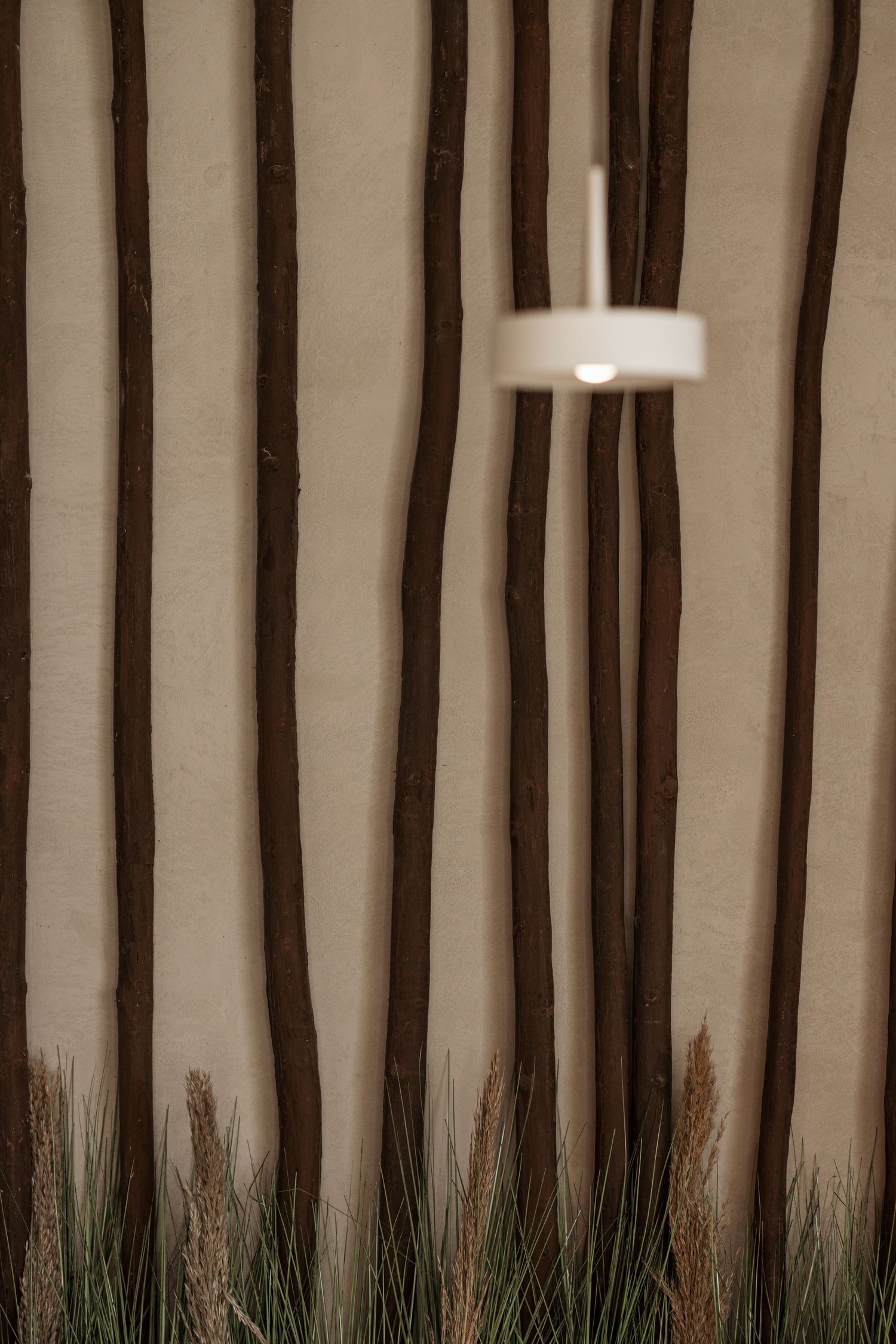 Textured beige wall with vertical dark wood branch details, ornamental grass, and a white pendant light fixture.