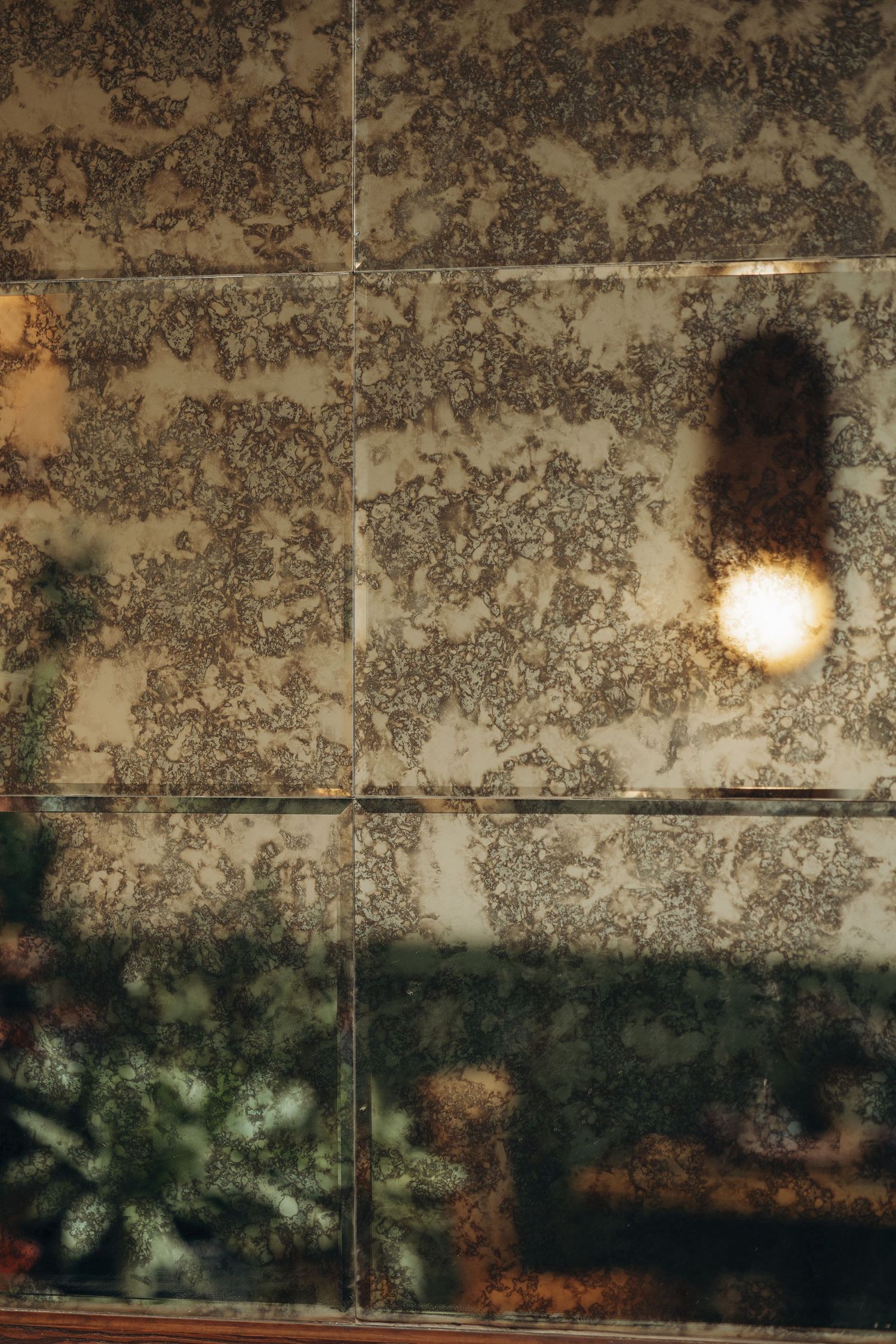 Antique mirror tiles with mottled texture reflecting soft warm light and green plants.