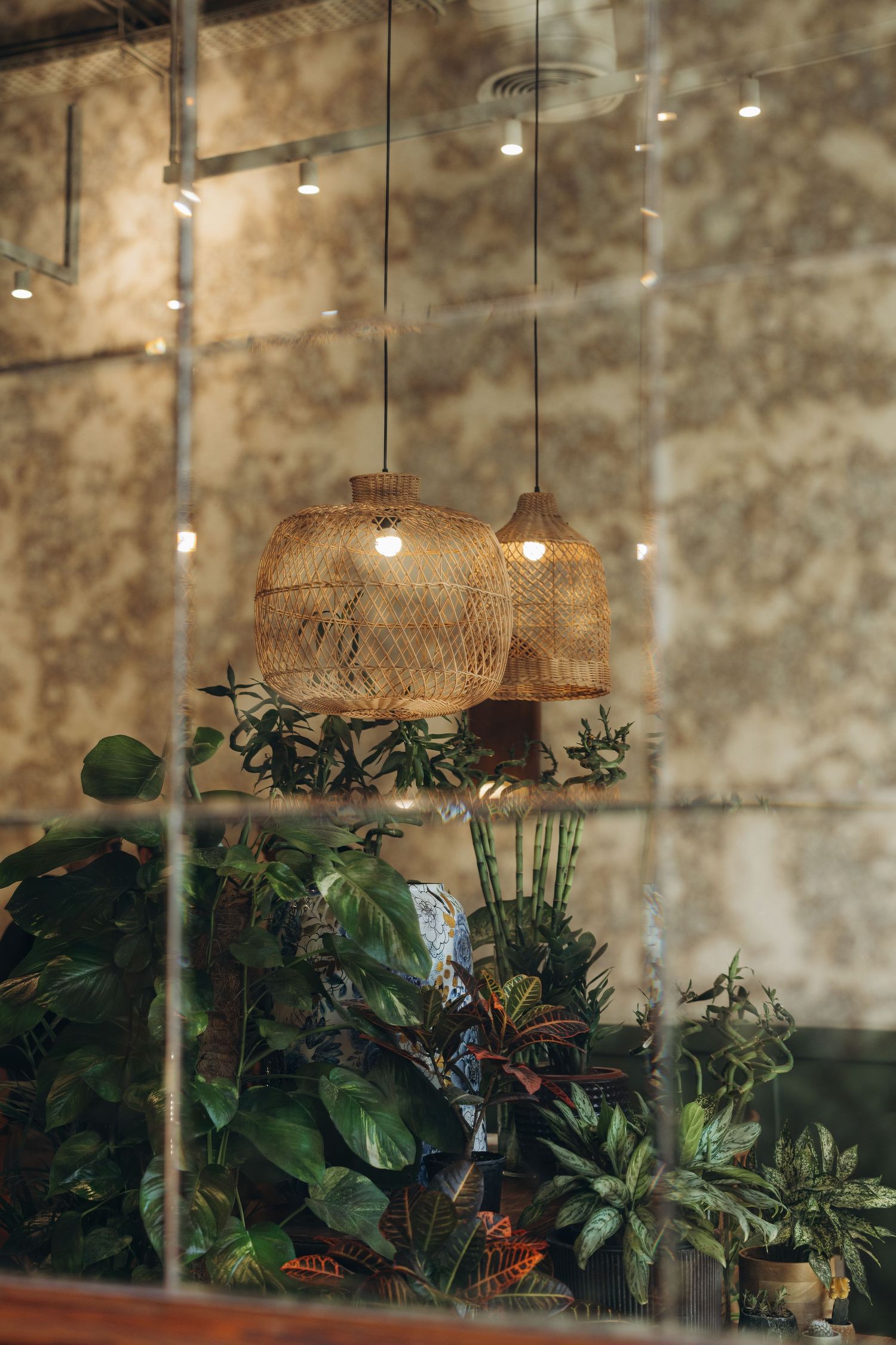 Wicker pendant lamps hanging above lush tropical plants viewed through a glass window.