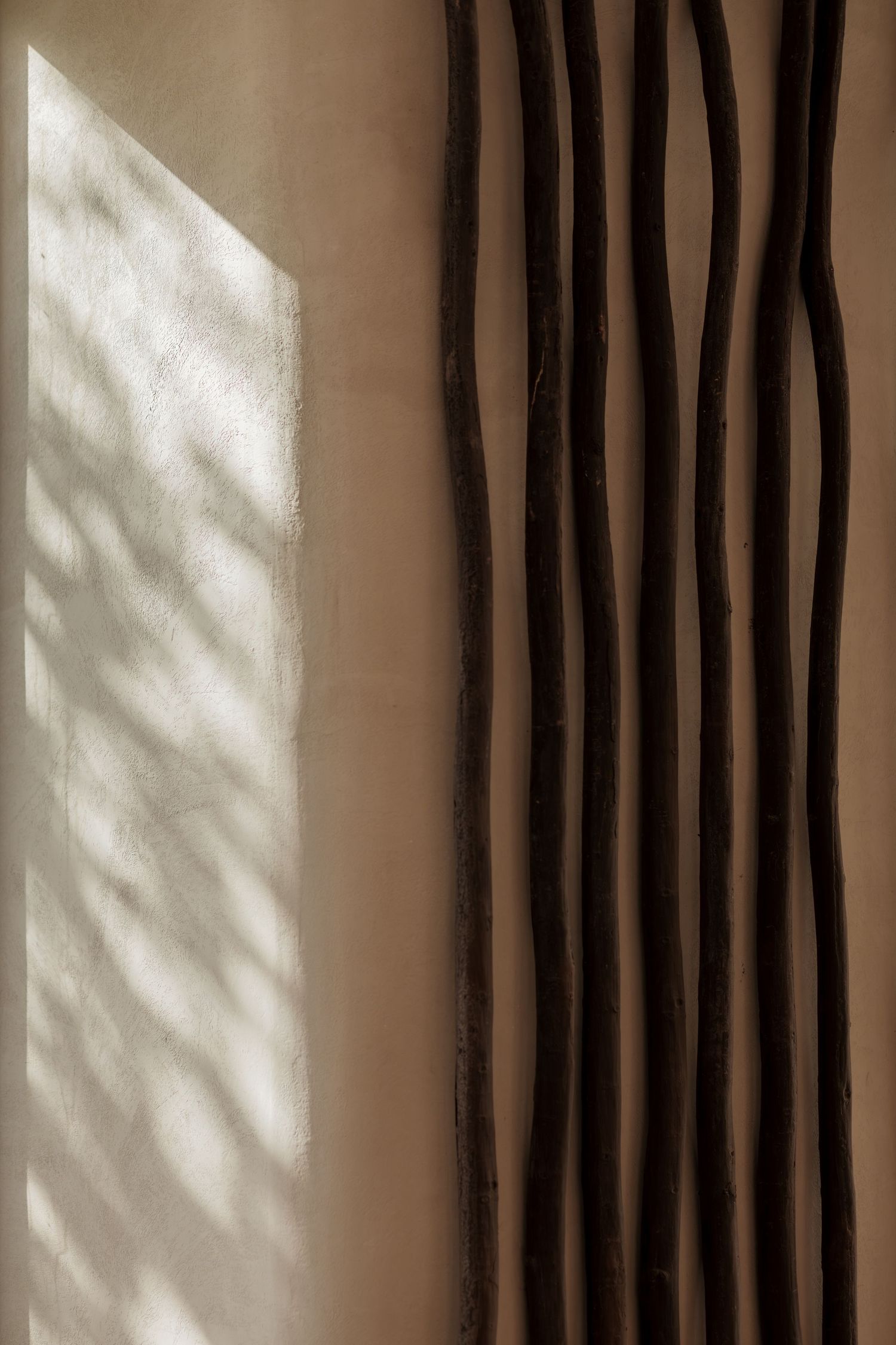 Beige textured wall with dark wavy branch sculptures casting dramatic shadows from natural window light.