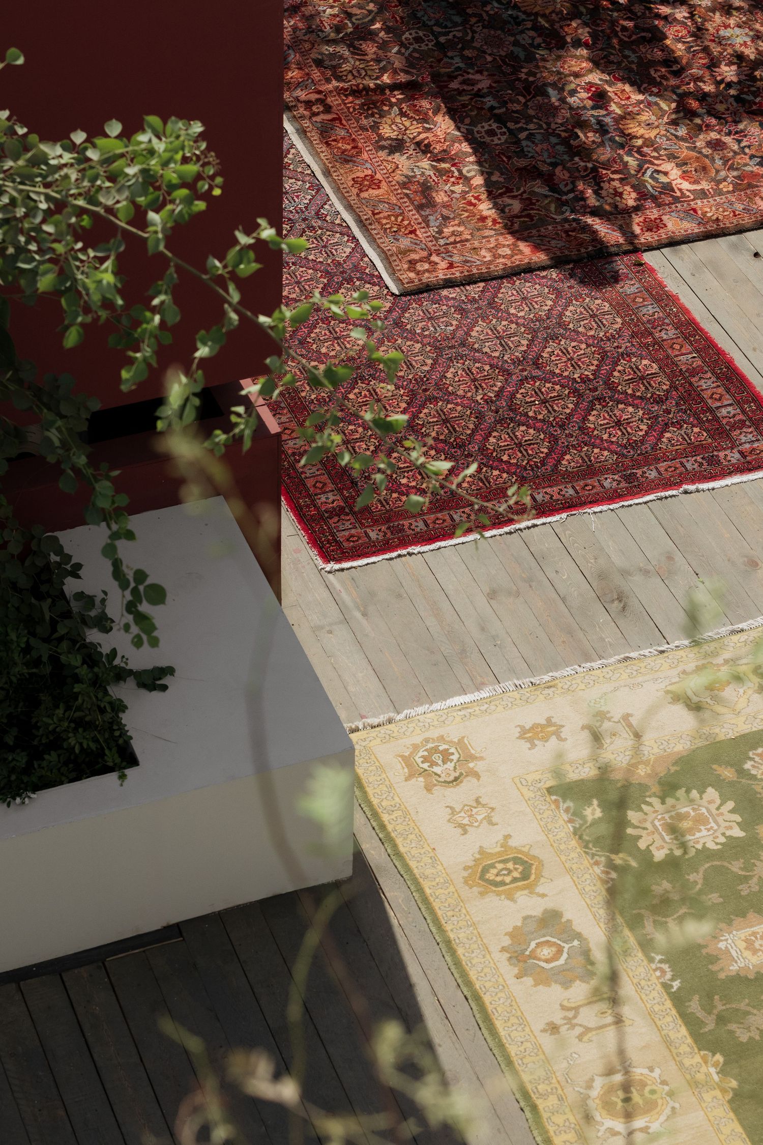 Aerial view of colorful Persian rugs arranged on weathered wooden deck with lush green plants nearby.