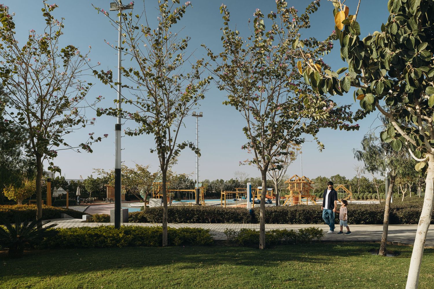 Peaceful park pathway lined with young trees where two people walk together during golden hour light.