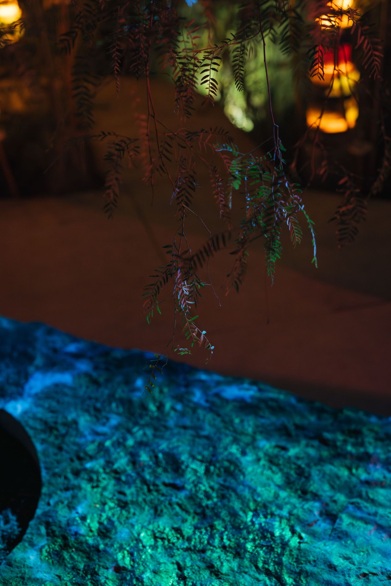 Delicate fern branch hanging over a glowing blue textured rock surface in a nighttime garden installation.