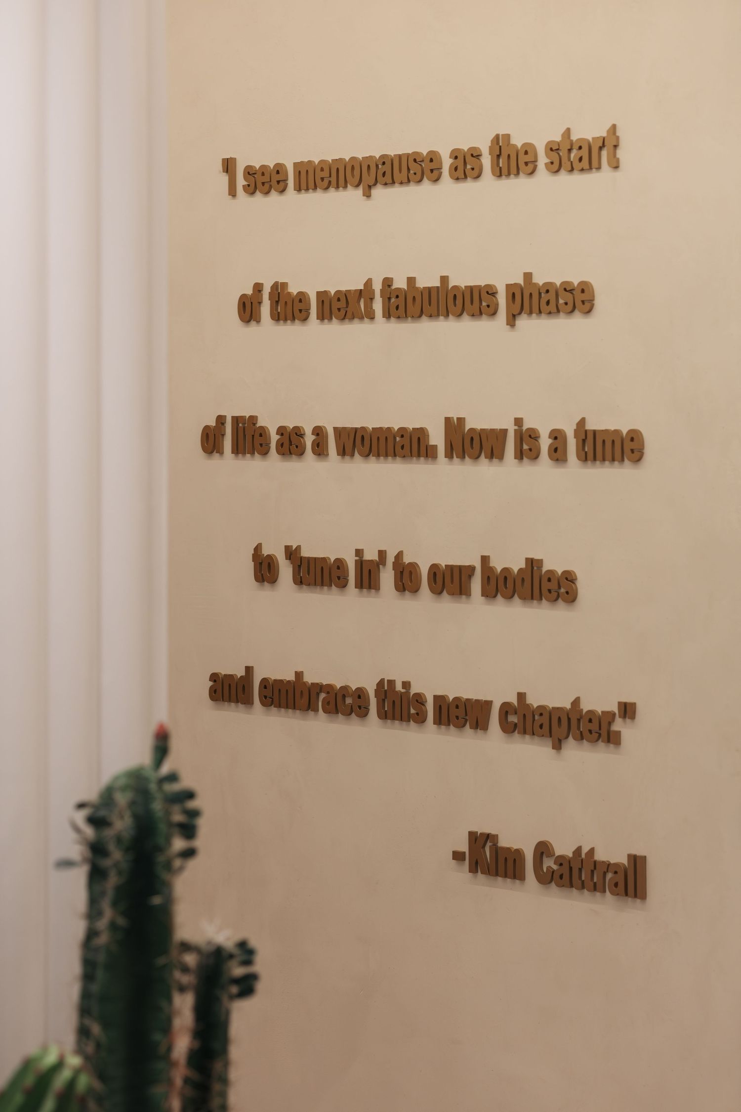 Inspirational Kim Cattrall menopause quote mounted in warm brown letters on a cream textured wall beside a cactus.