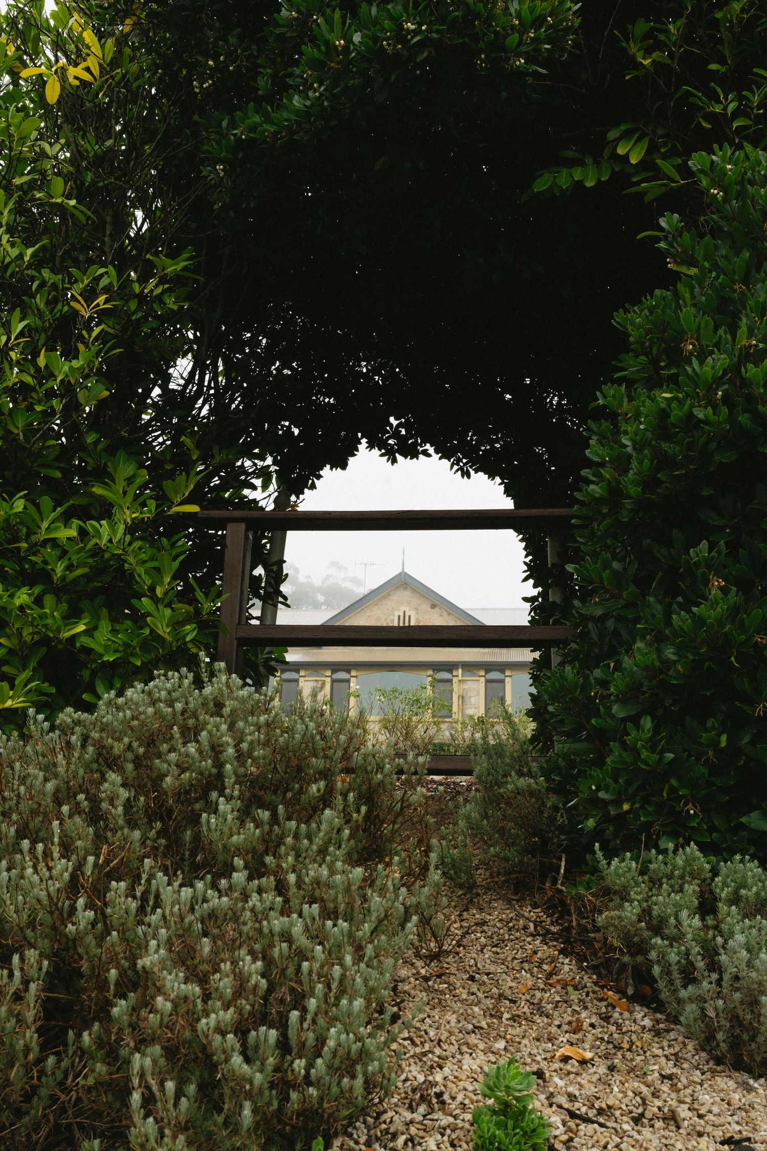 A sequence of photos showing a window frame through dense foliage and bushes in a garden setting.
