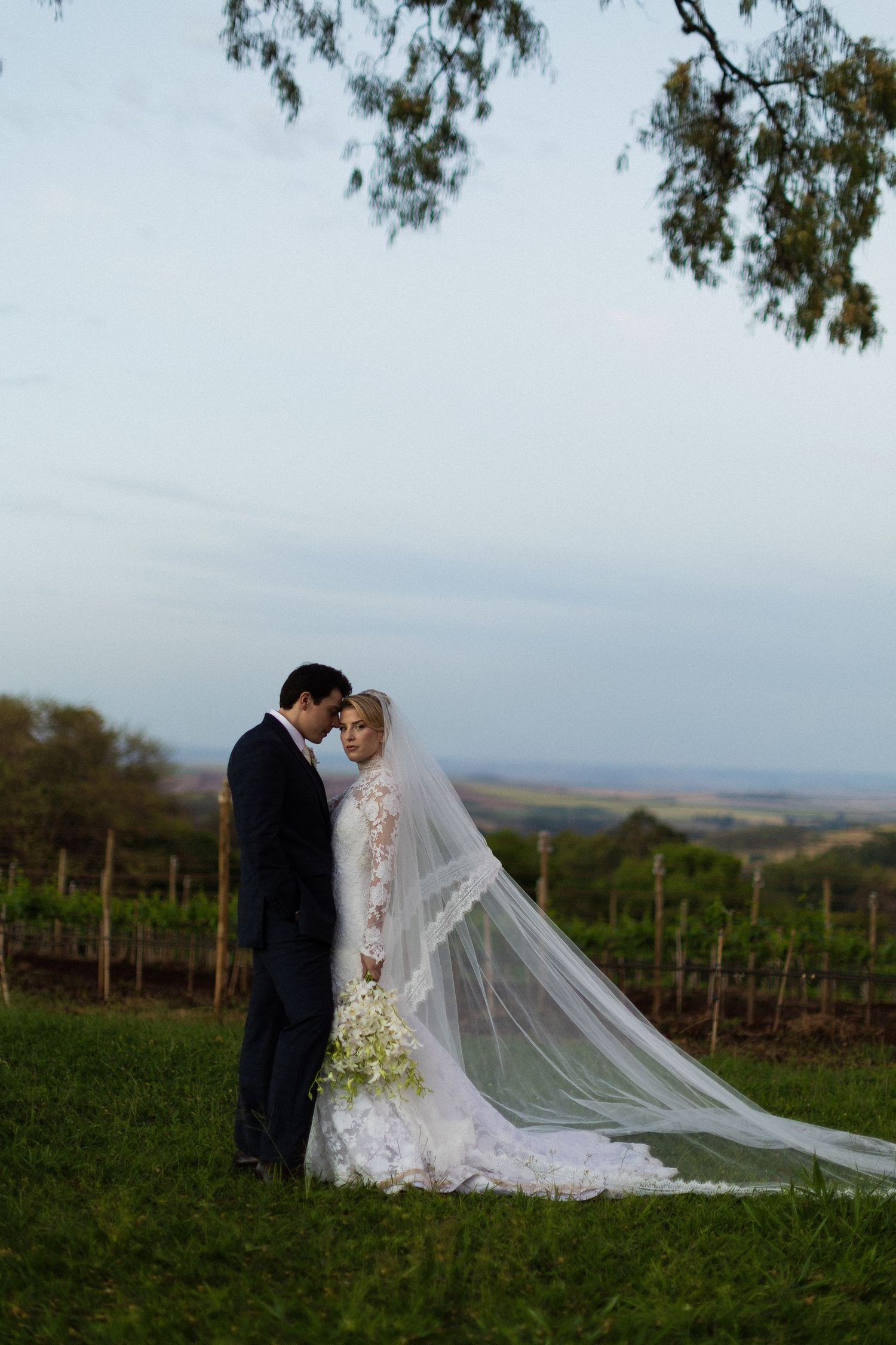 A romantic wedding moment captured in a vineyard with a flowing cathedral veil trailing behind the couple at sunset.