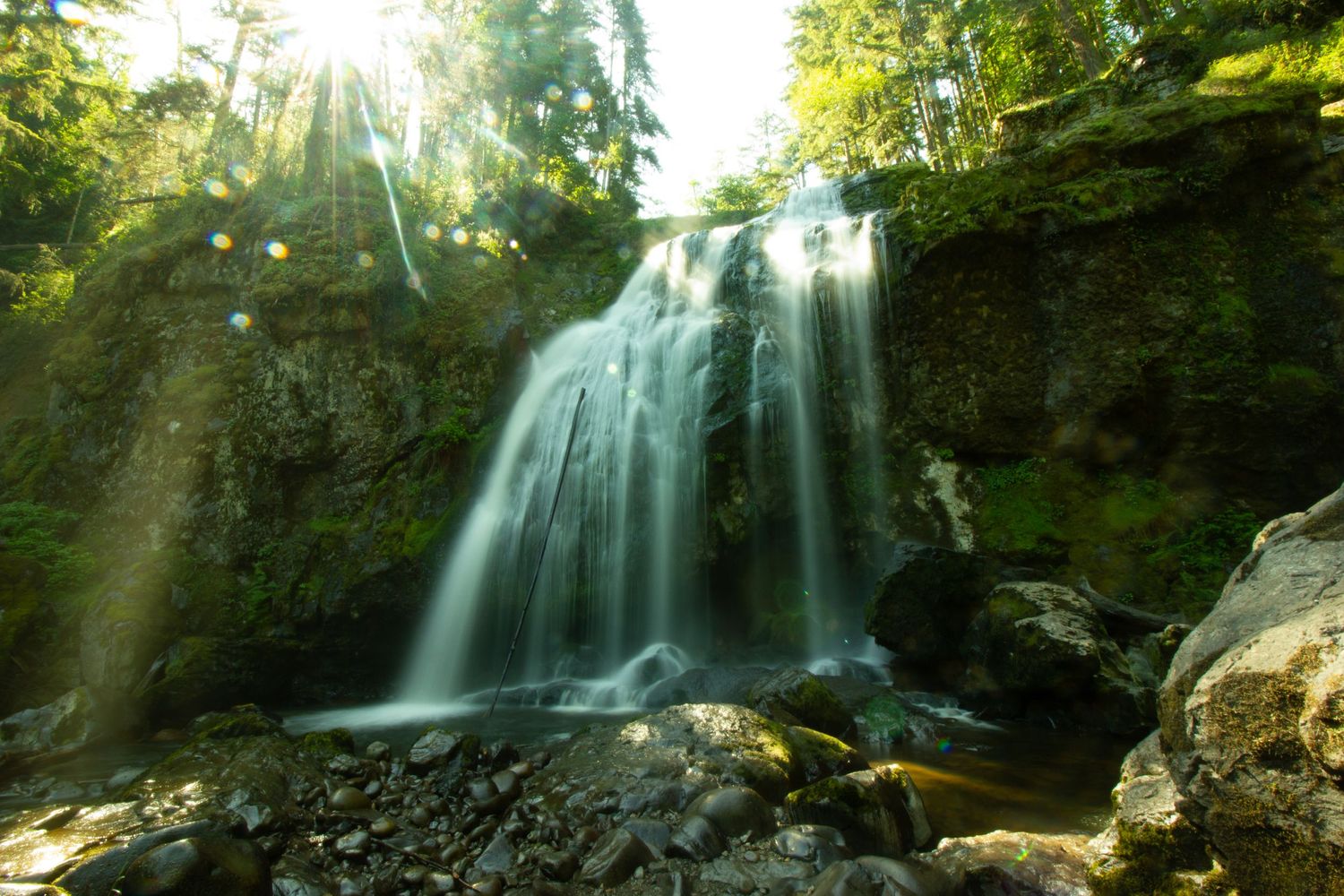 Sunlit waterfall cascades over mossy rocks in a lush forest setting.