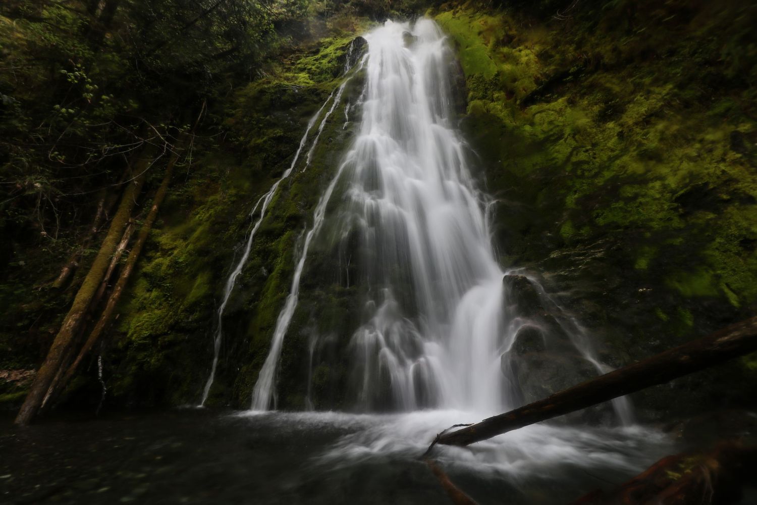 Majestic waterfall cascading down moss-covered rocks in a lush forest setting.