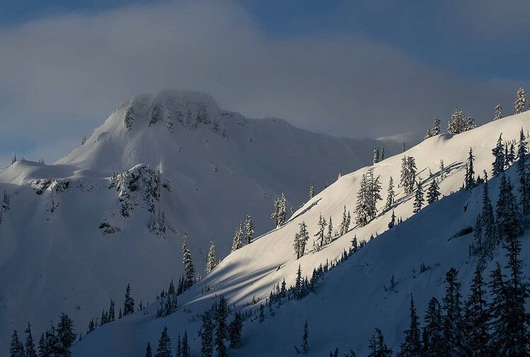 Snow-covered mountain peak with evergreen forest in winter landscape.