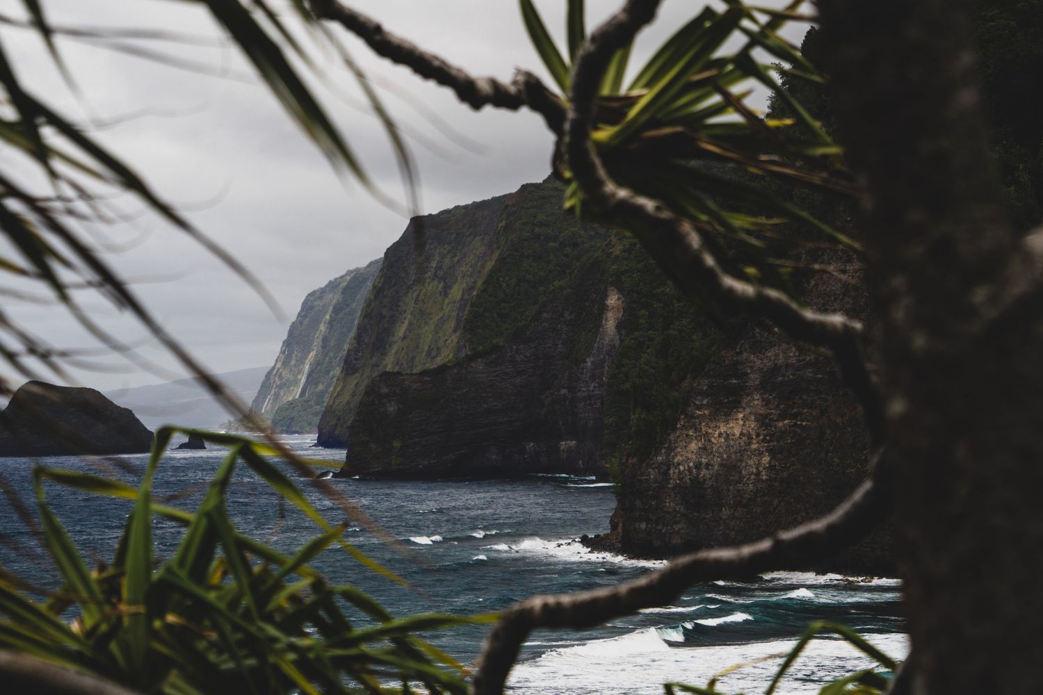 Dramatic coastal cliffs and crashing waves viewed through tropical foliage on a cloudy day.