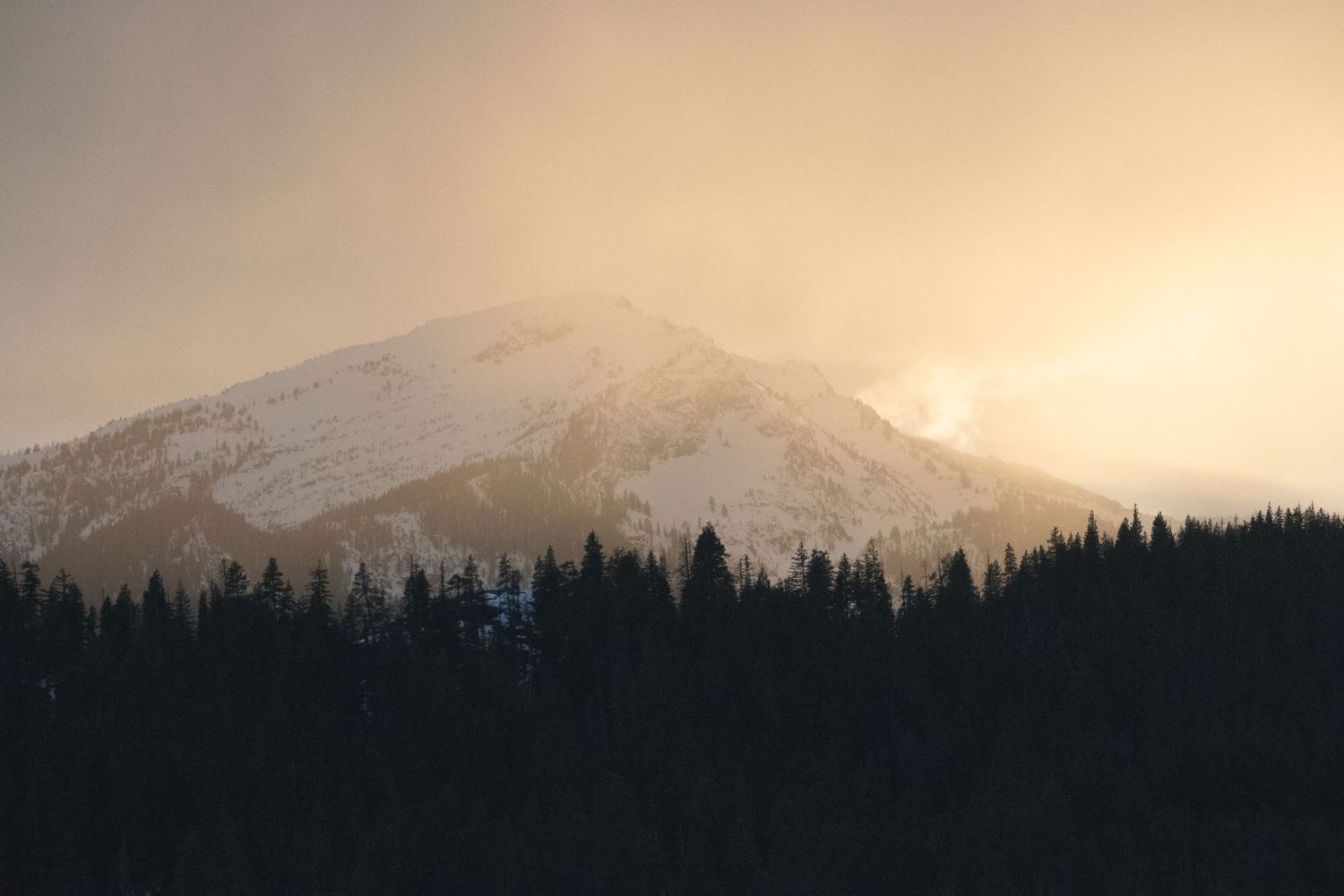 Misty winter mountain peak with snow-covered forest silhouette at golden hour.