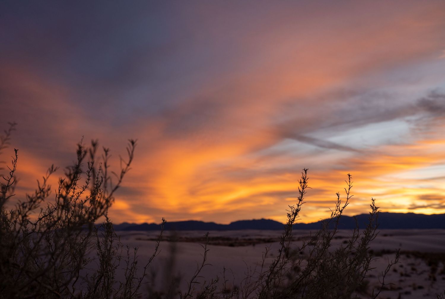 A dramatic orange and purple sunset sky silhouettes desert plants against the mountain horizon.