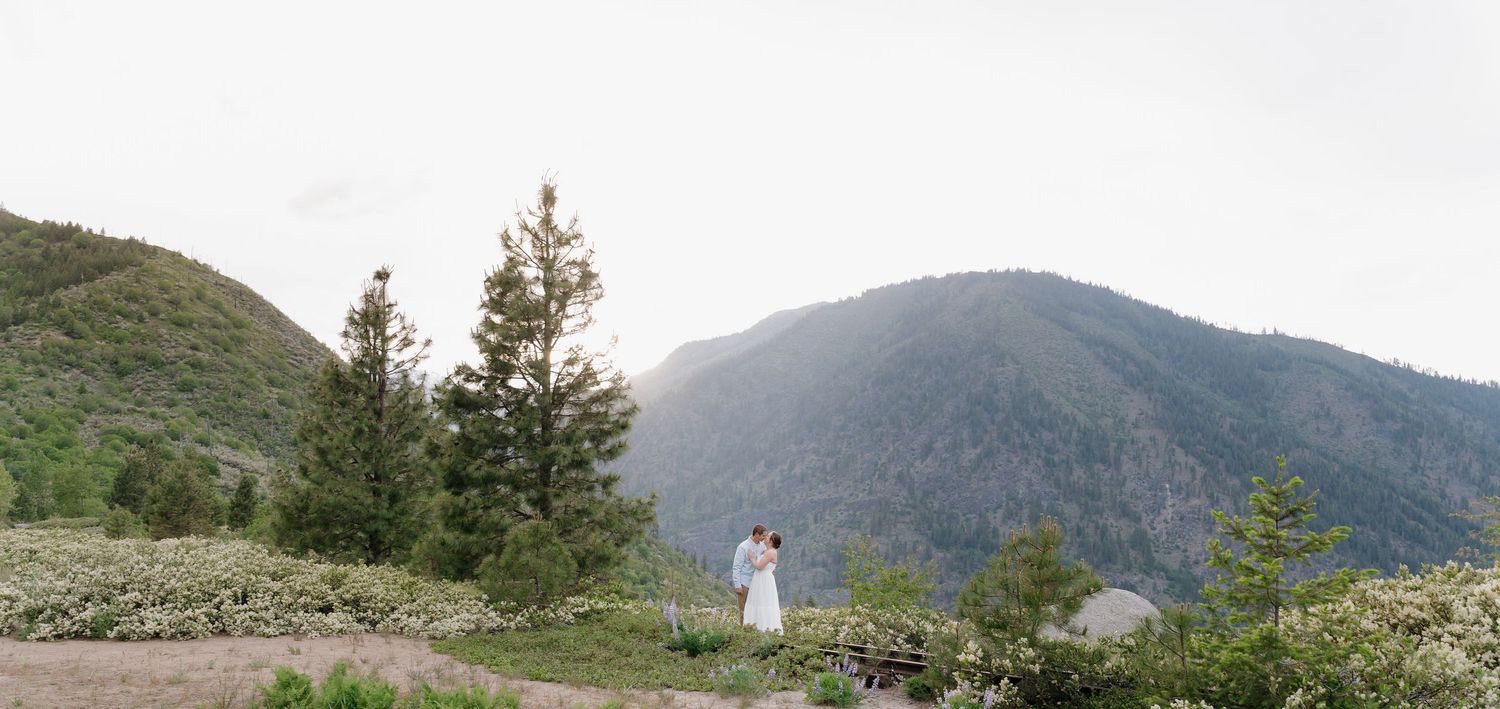 A scenic mountain landscape with evergreen trees and a figure in white standing on a winding path.