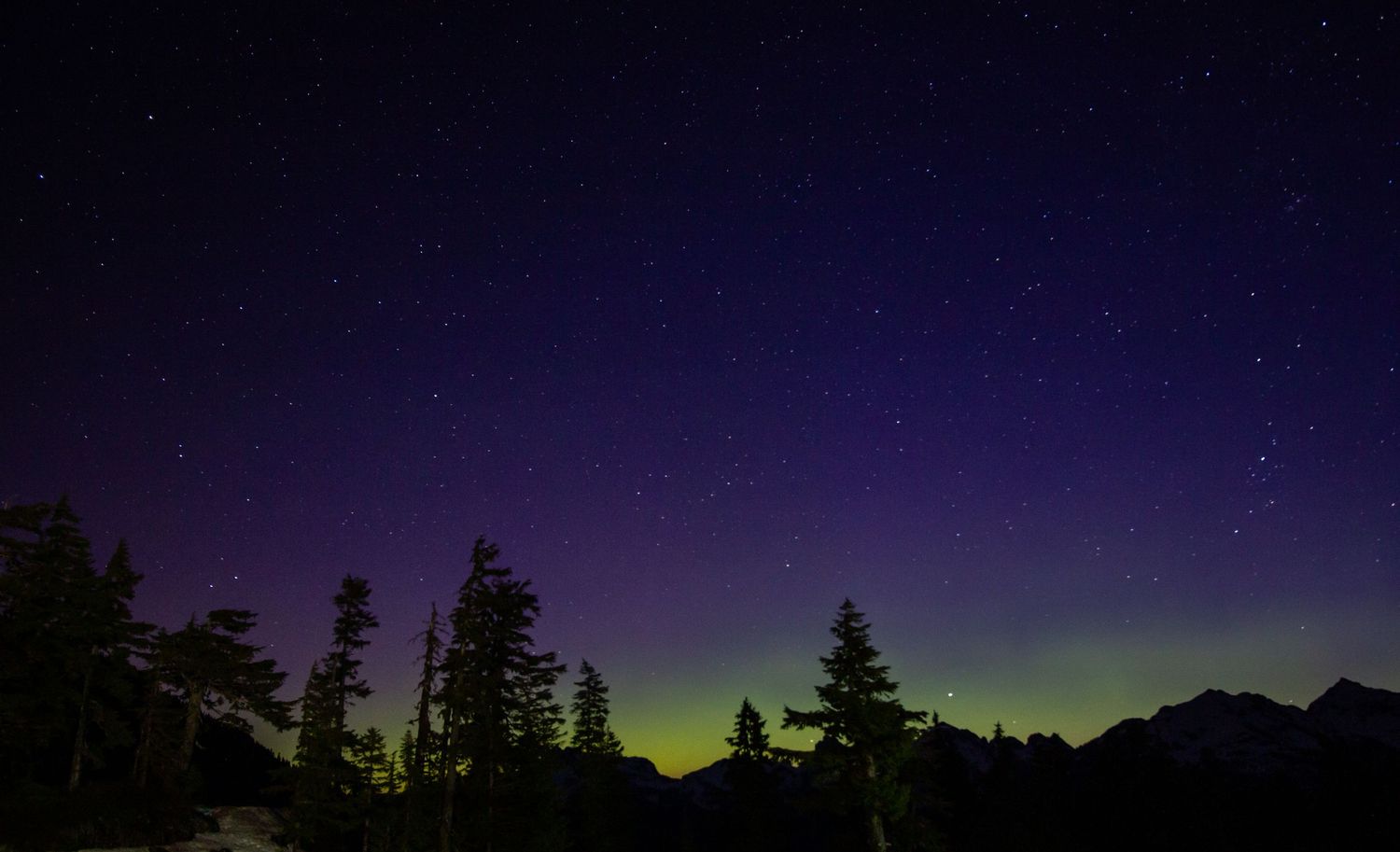 Northern lights glow green above silhouetted pine trees and mountain peaks against a starry night sky.