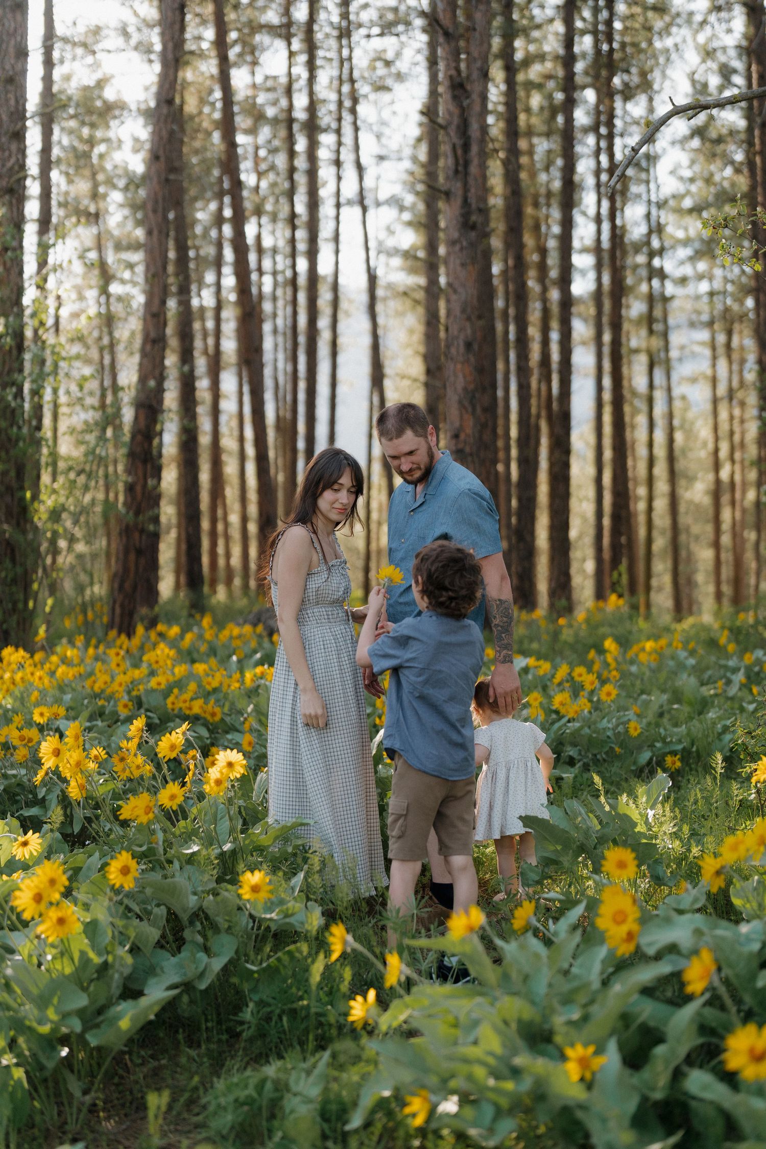 Family of four enjoying a sunny forest clearing filled with yellow wildflowers, sharing a tender moment together.