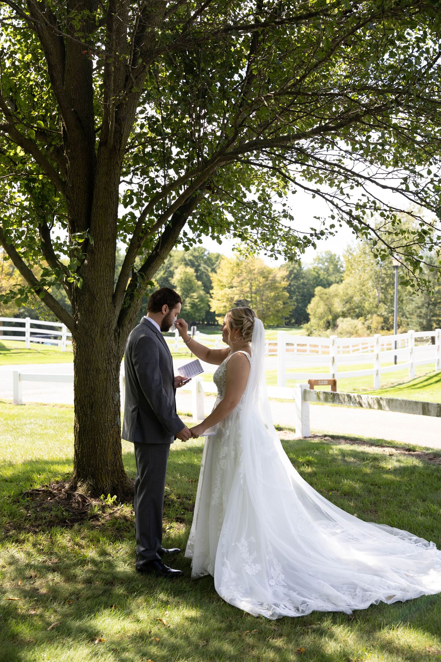 Bride and groom sharing a romantic moment beneath a leafy tree at Hawk Hollow in Lansing, Michigan, with her wedding dress flowing.