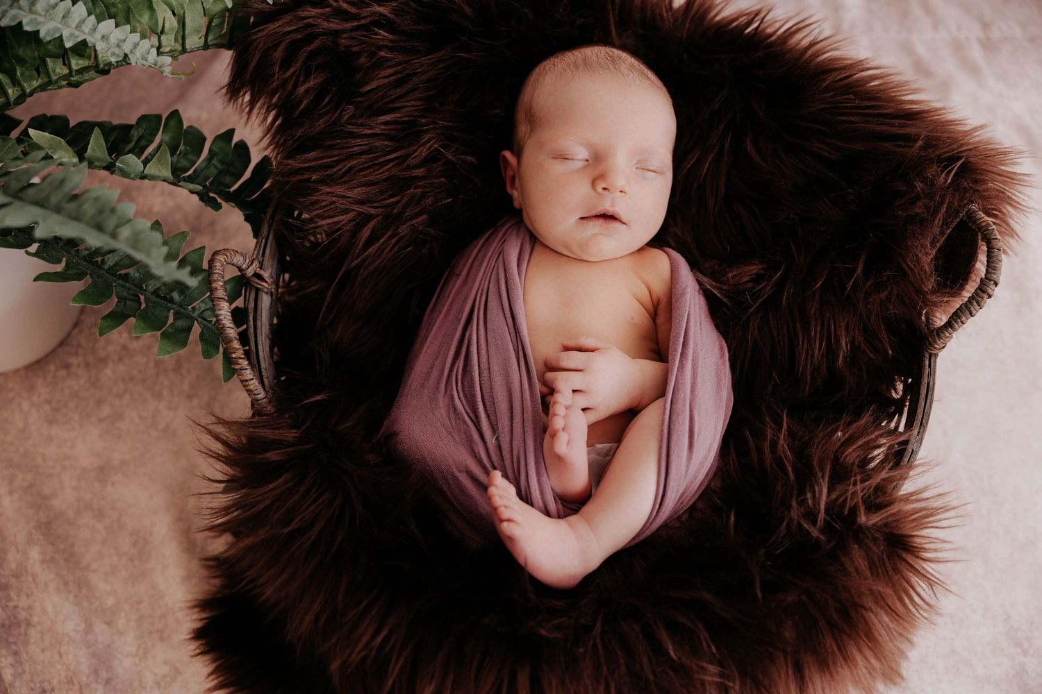 Posed newborn portrait of a sleeping baby wrapped in a mauve blanket and nestled in a soft brown fur basket with greenery.