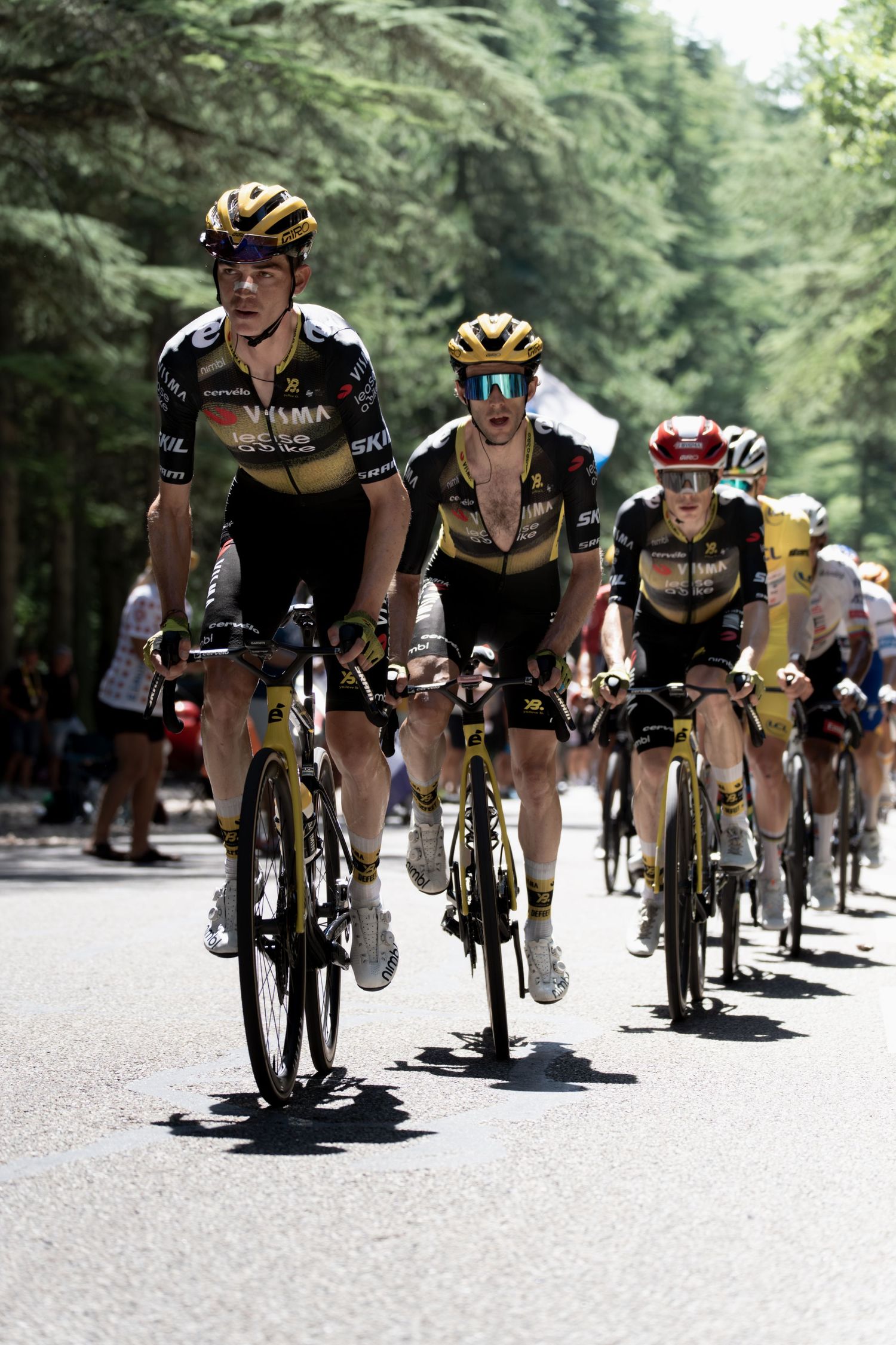 Reportage photo sportif sur le Tour de France au Mont Ventoux