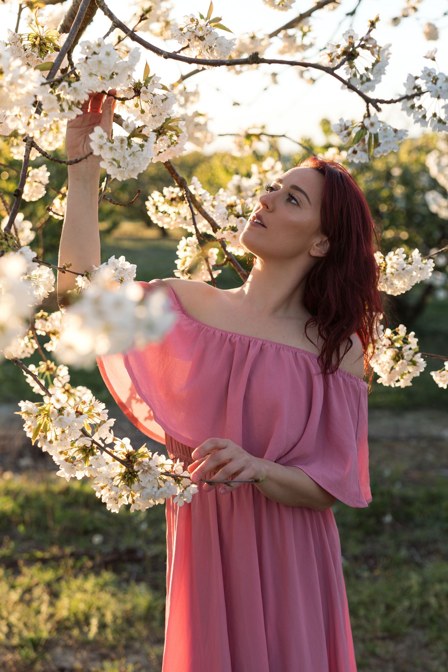 Séance photo Portrait Cerisiers en fleurs Avignon Provence - Arnaud Robin