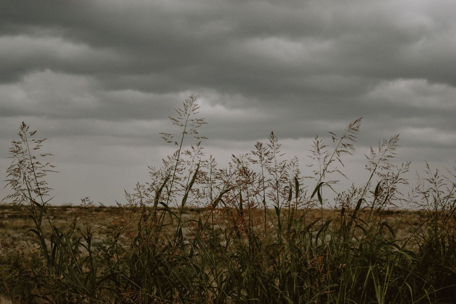 Dramatic Colorado cloudy sky over a field of tall grass silhouettes in sepia tones.