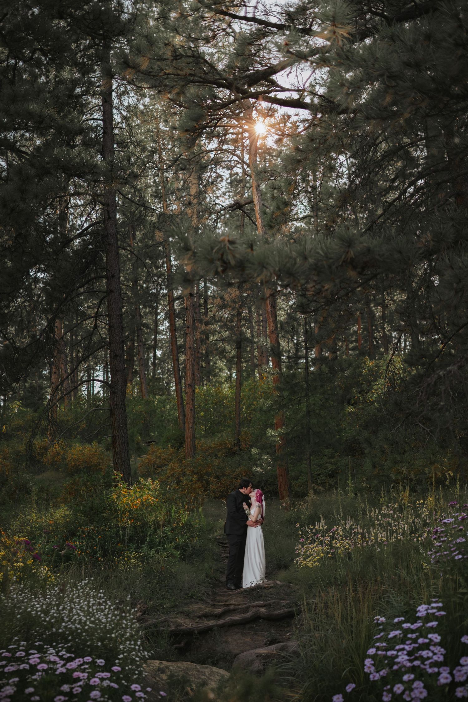 A romantic elopement forest scene between newlyweds with pine trees and purple wildflowers at sunset in Pueblo Mountain Park.