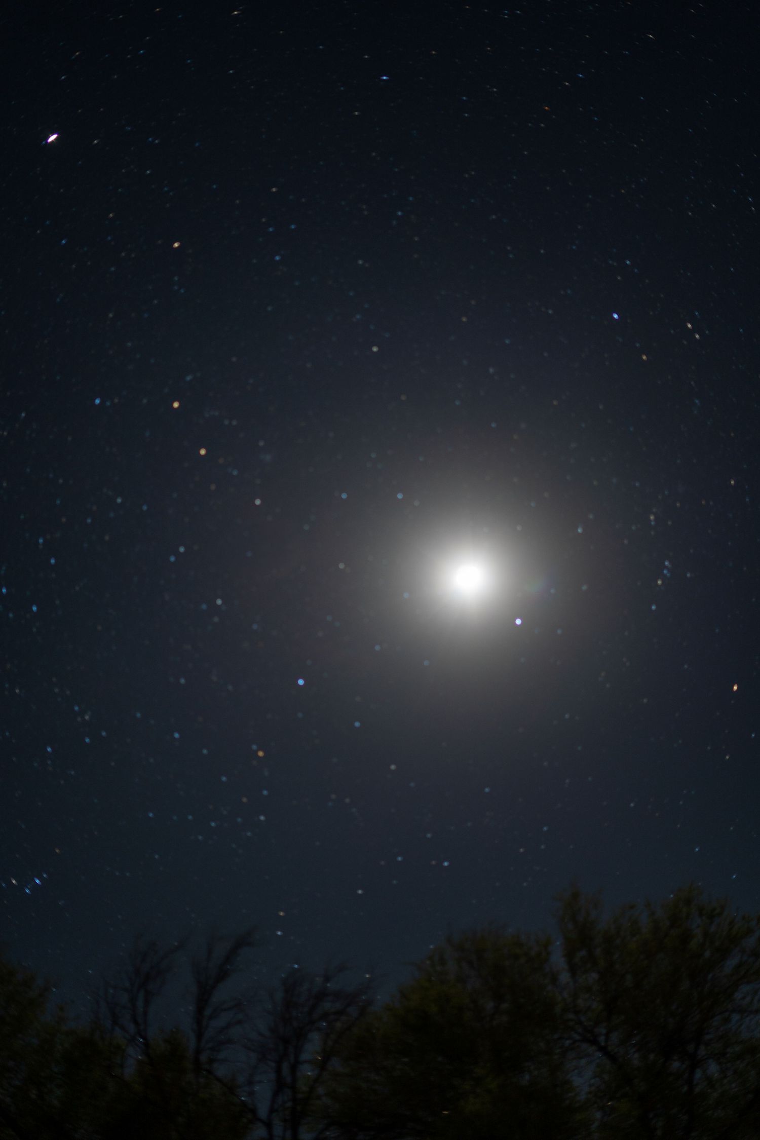 Bright moonlight illuminates a dark night sky with stars and tree silhouettes below in Colorado.