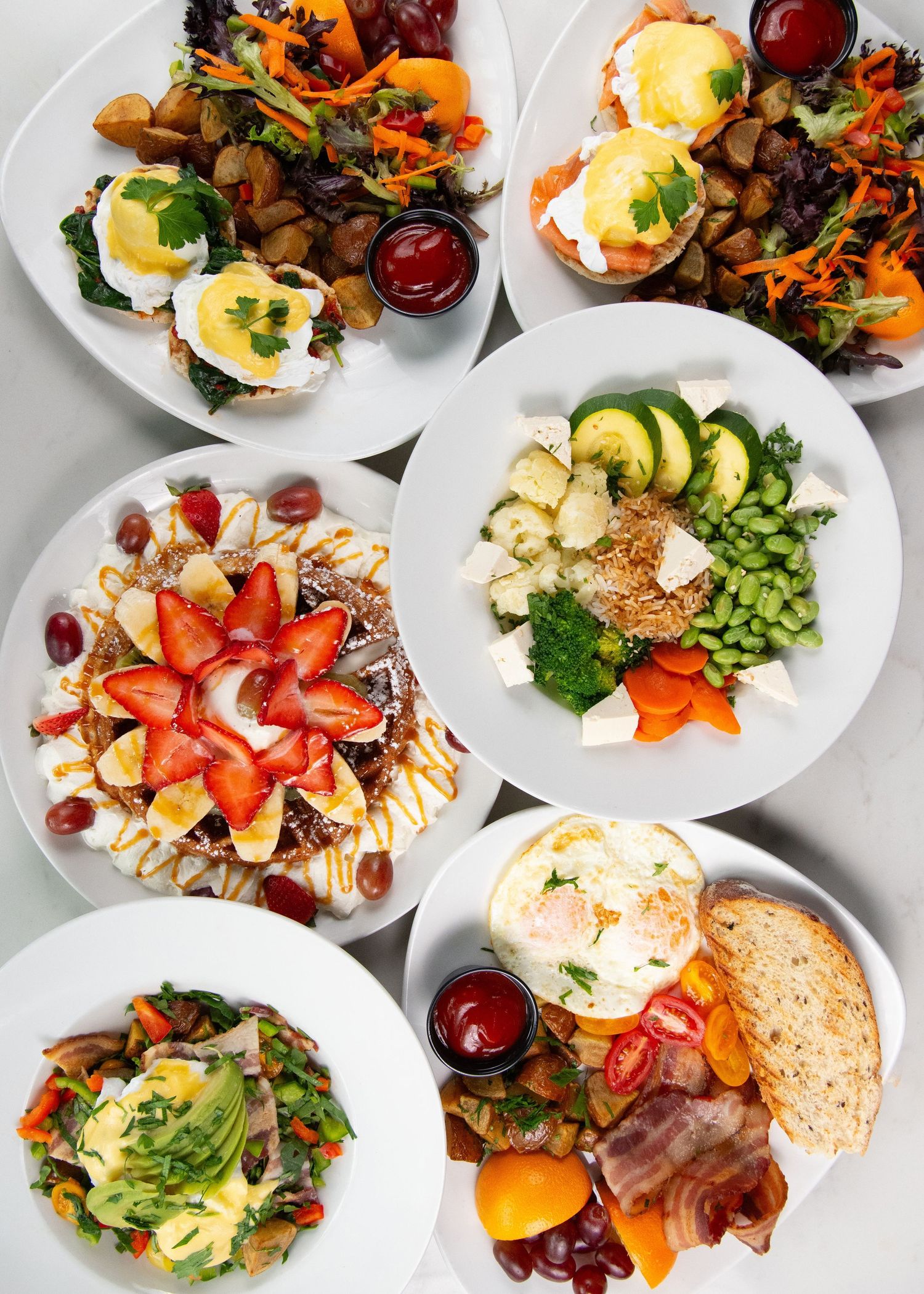 Multiple dishes flat lay with colourful ingredients overhead, Calgary commercial food photographer