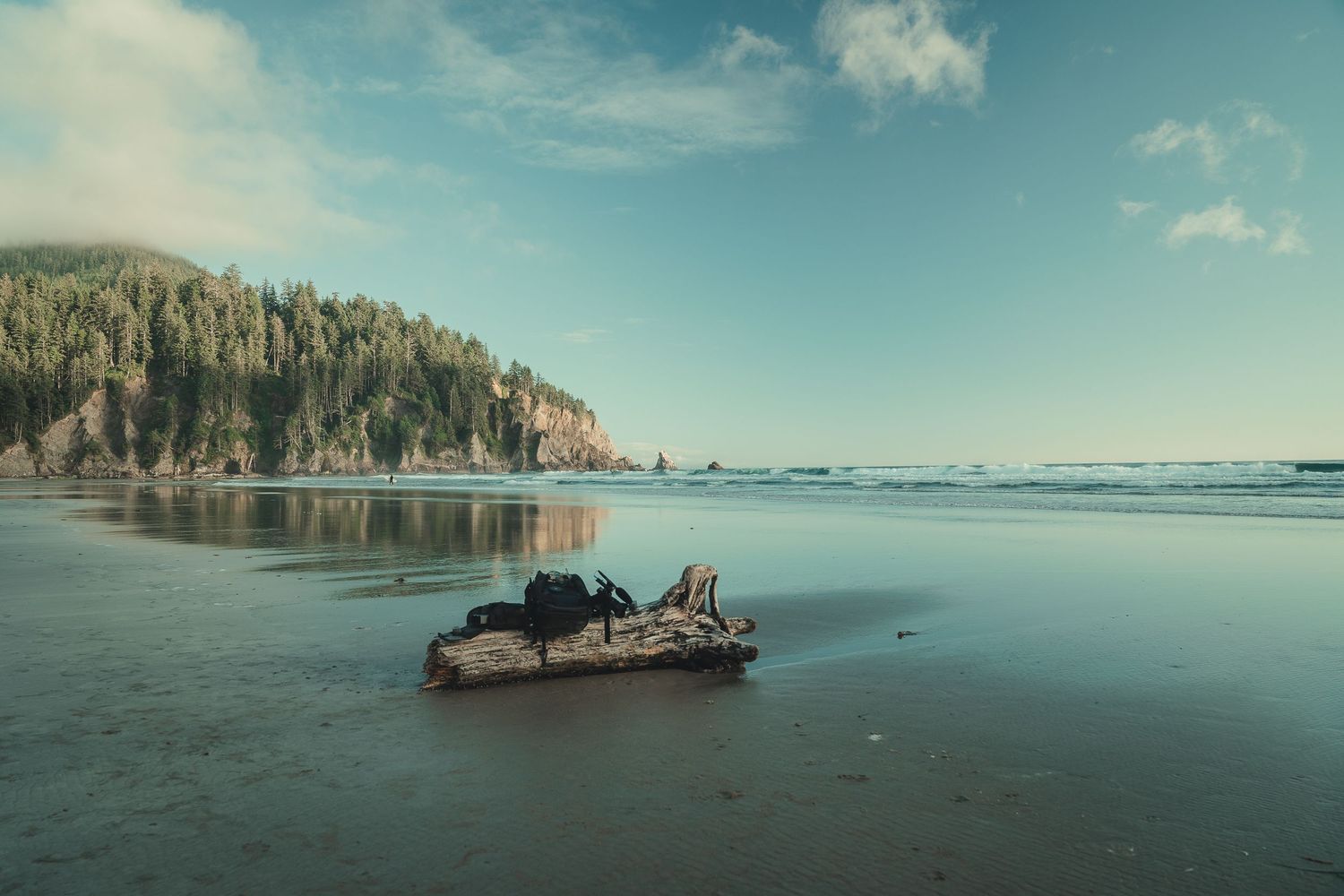 Driftwood log rests on a serene Pacific Northwest beach with forested cliffs and calm ocean waters under a blue sky.