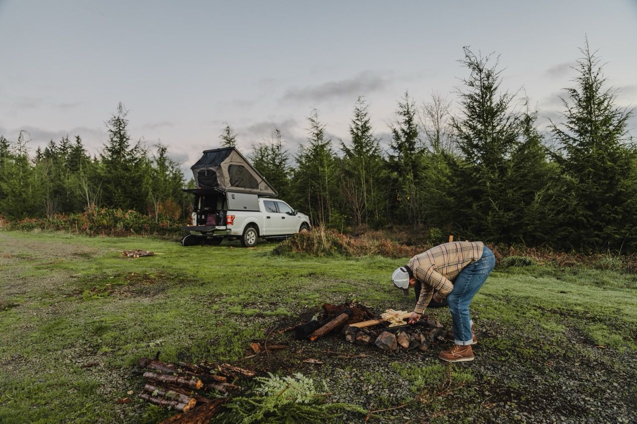 Stacks of firewood being gathered in a clearing surrounded by evergreen trees.