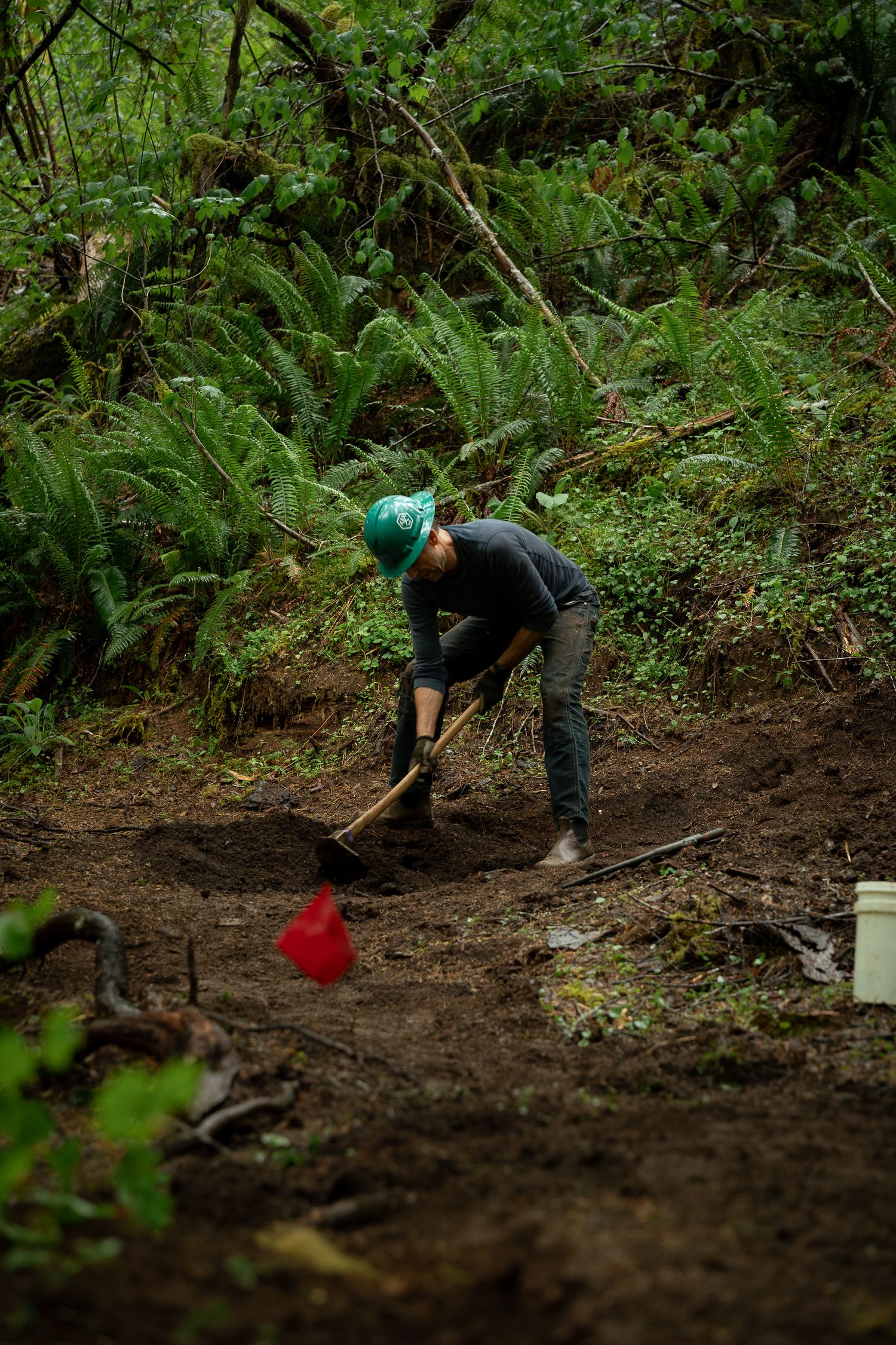 Person in green hat digging with a shovel in a lush forest trail, surrounded by ferns and dense greenery.