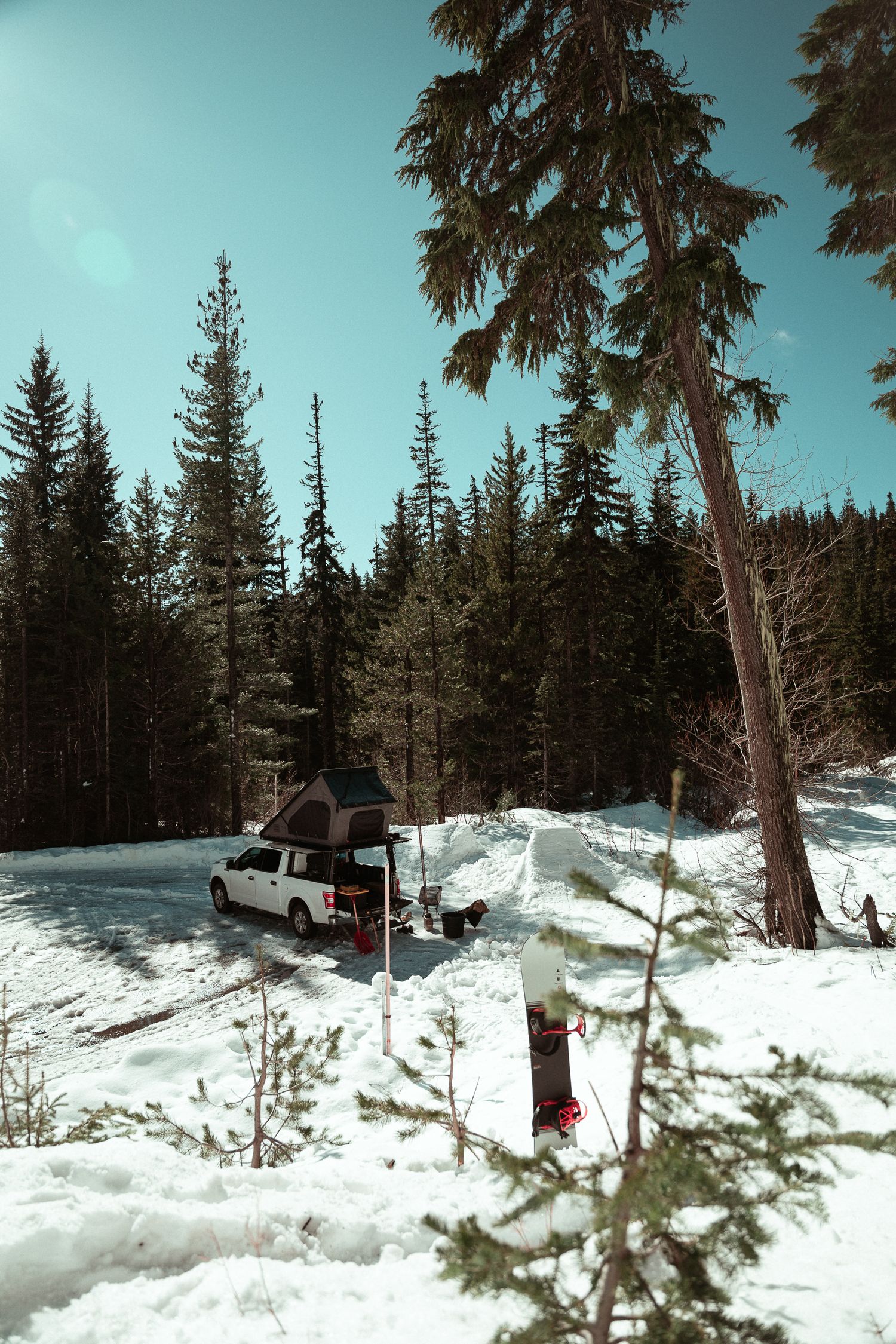 A snowy winter landscape with evergreen trees and a white pickup truck parked on a snow-covered mountain road.