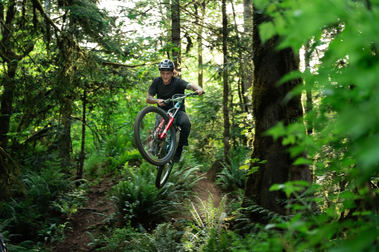 Mountain biker performing a wheelie jump on a forest trail surrounded by lush green trees and ferns.