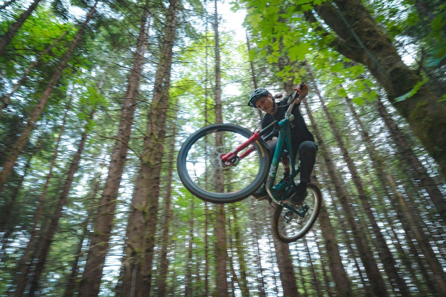 Mountain biker performs aerial trick among tall forest trees, captured from low angle showing bike and rider against green canopy.