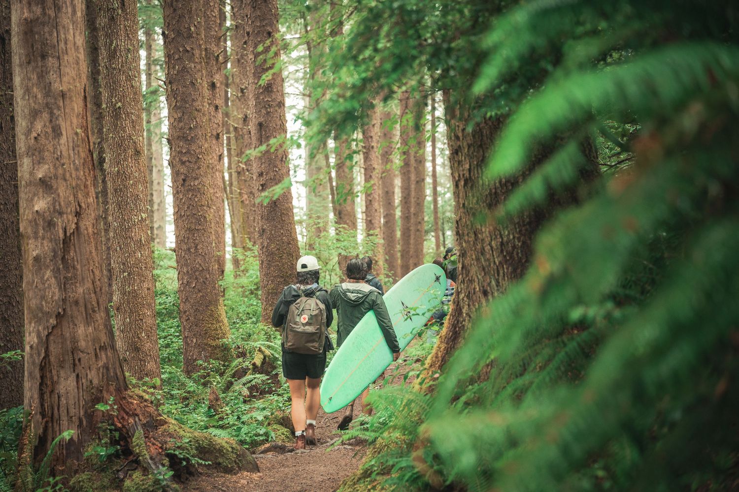 Two surfers carrying a teal surfboard walk along a forest trail surrounded by tall trees and lush ferns.
