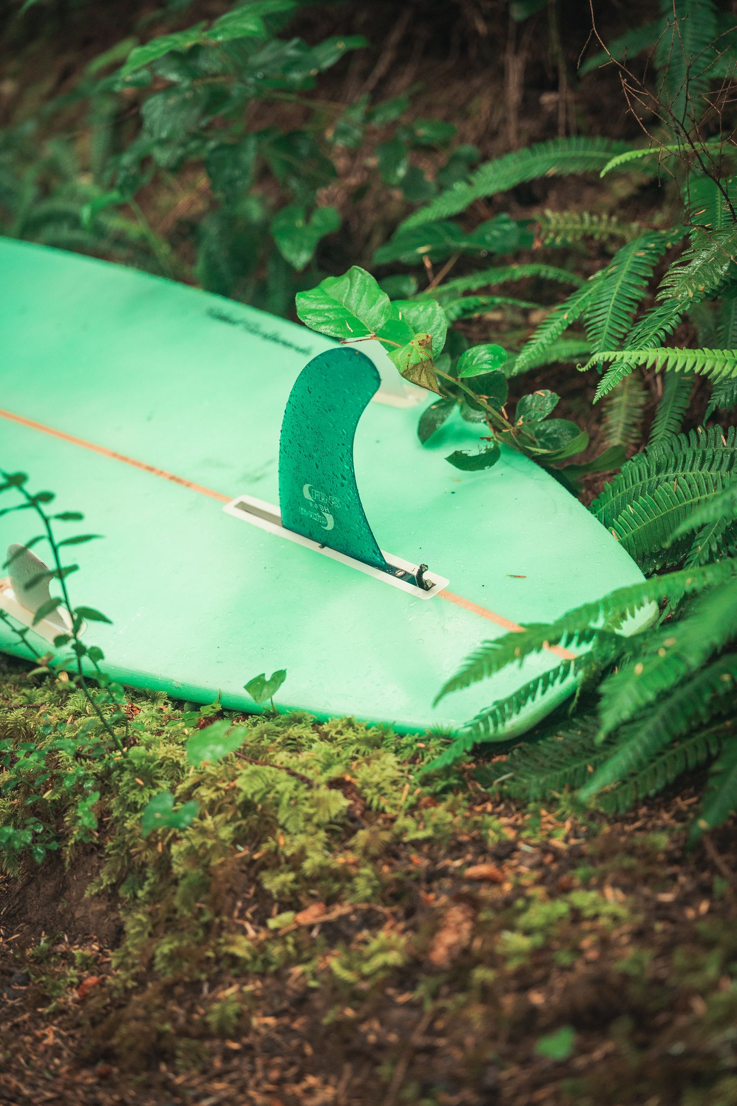 A green surfboard with a fin resting on mossy ground surrounded by lush ferns and tropical foliage.