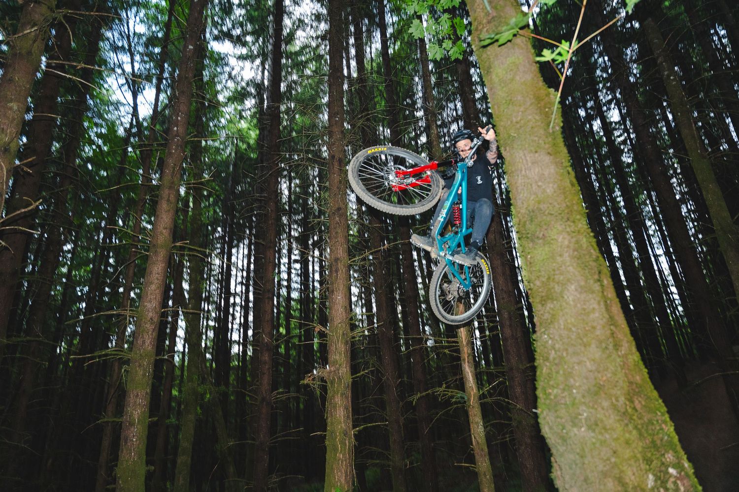 Mountain biker performing an aerial trick between tall trees in a dense forest on a blue and red bike.
