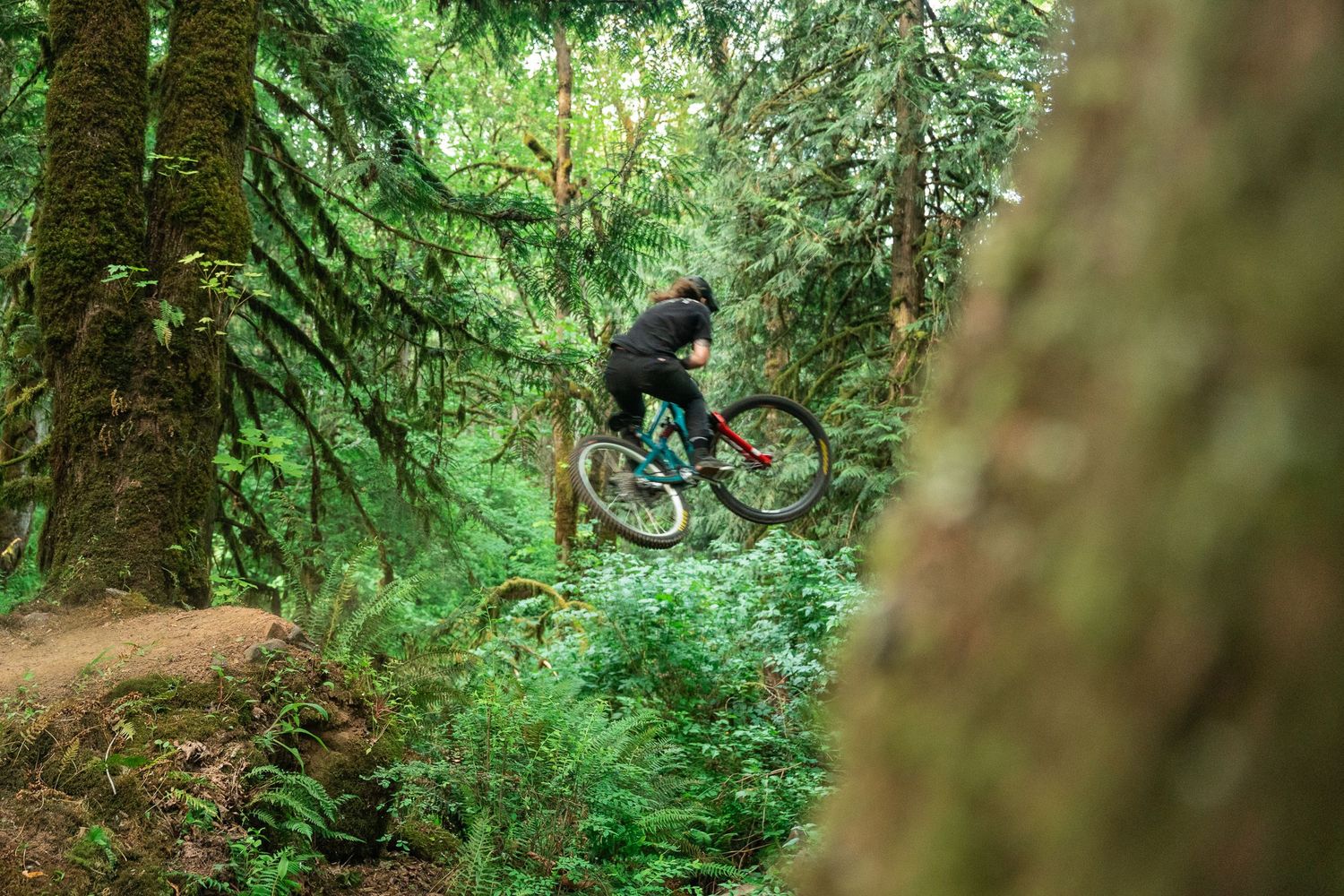 Mountain biker performing an aerial jump trick among lush green moss-covered trees in a dense forest trail.