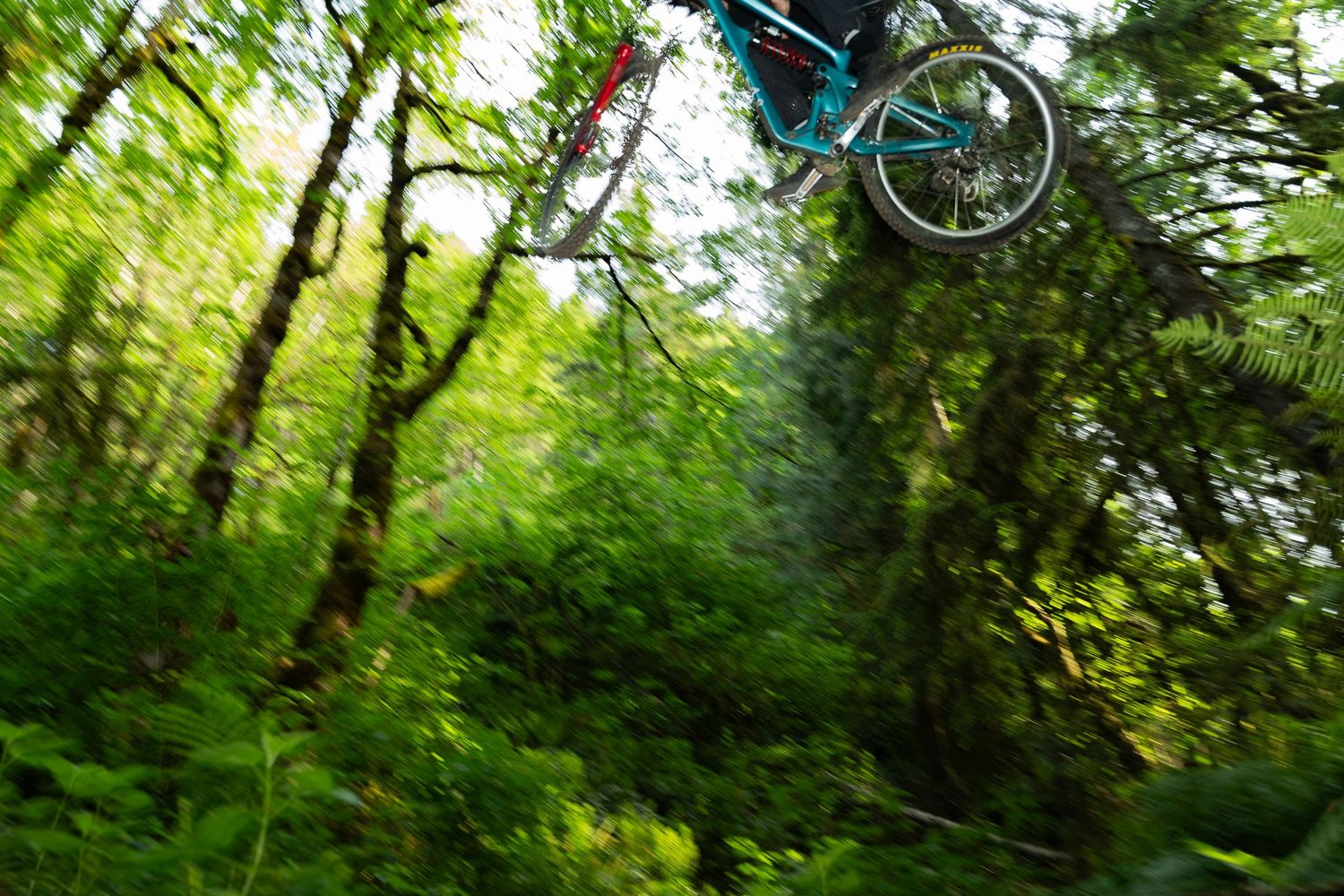 A mountain biker catches air mid-jump through a lush green forest trail with motion blur effect.