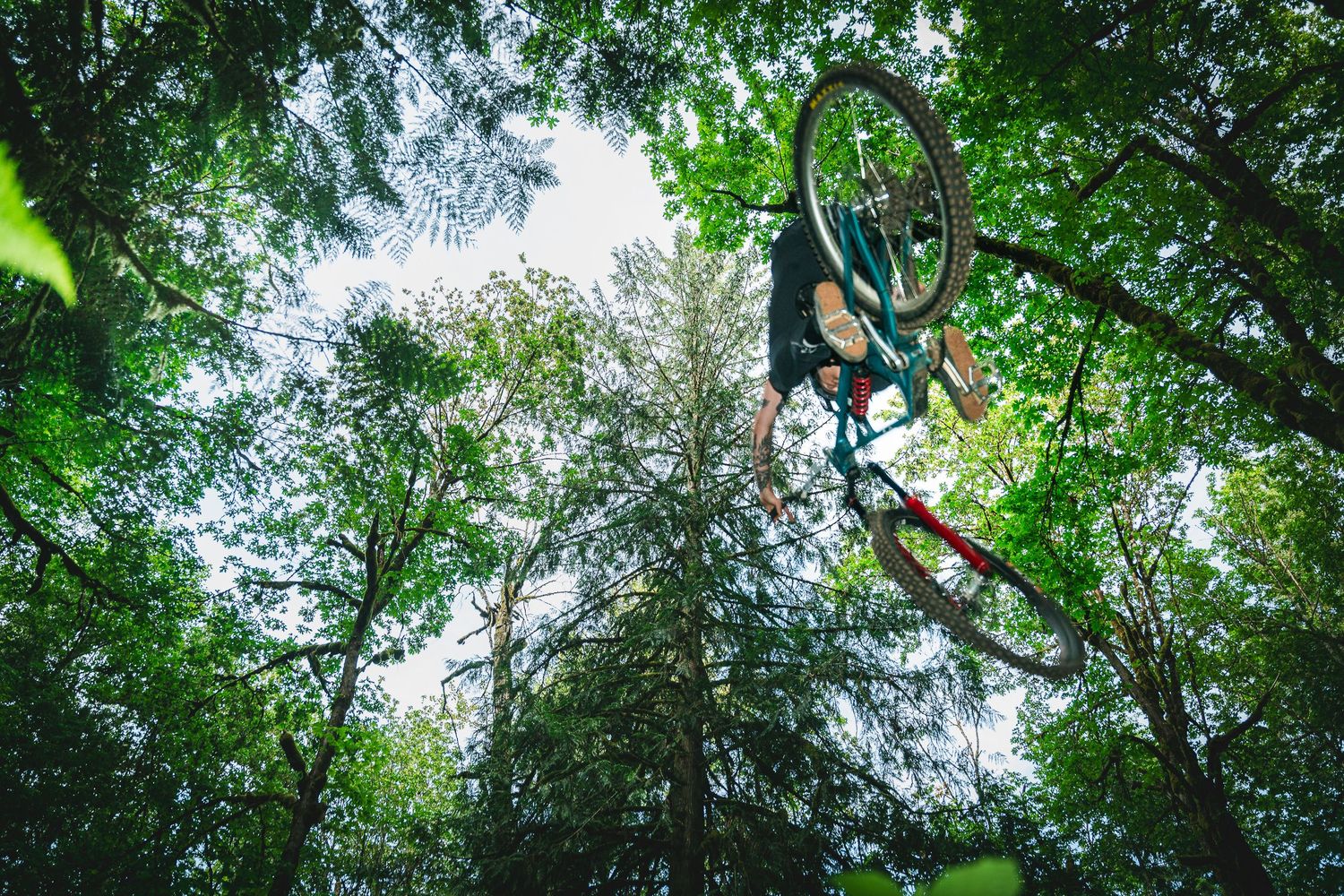 A mountain biker performs a dramatic aerial trick high above a lush green forest, captured from a low angle looking up.