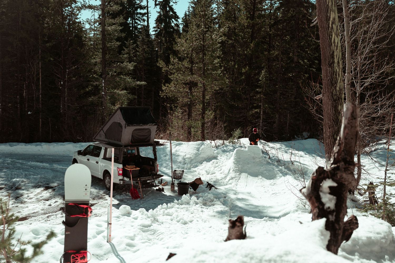 A panoramic winter scene shows a snowy forest landscape with evergreen trees and scattered buildings in the distance.