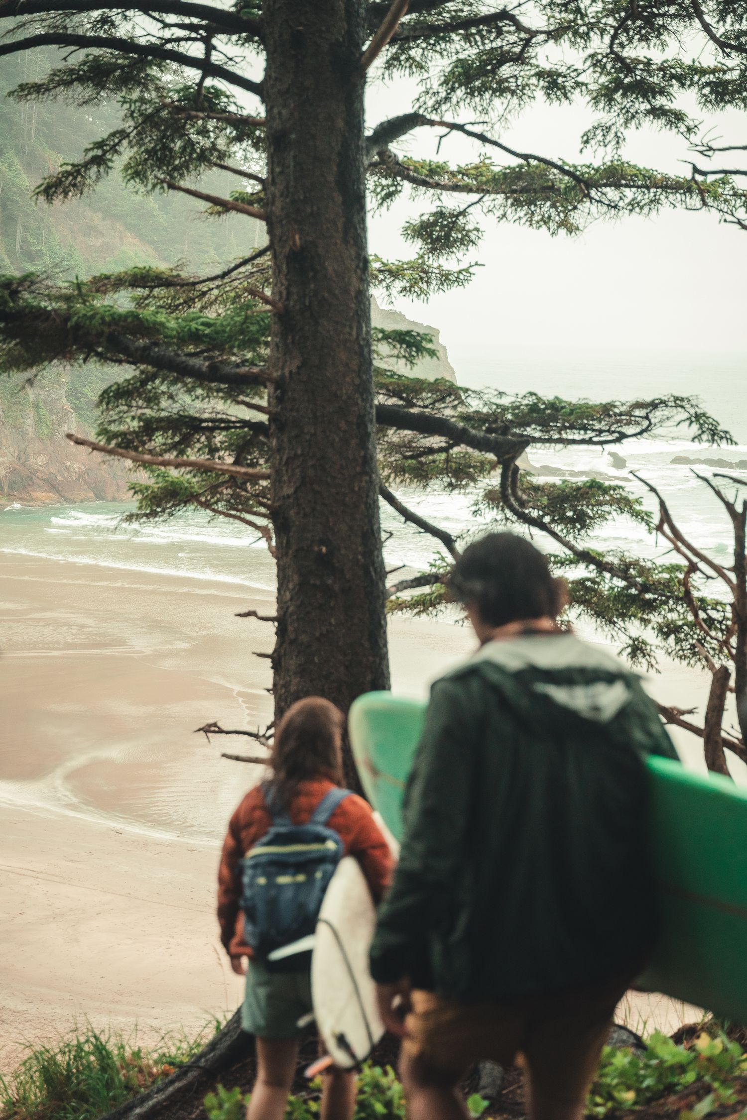 Two surfers walk down a misty coastal trail through pine trees toward a secluded beach with rolling waves.