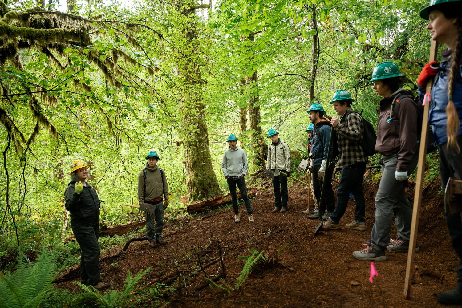 Group of workers in hard hats gathering in a lush green forest for an outdoor trail building or conservation project.
