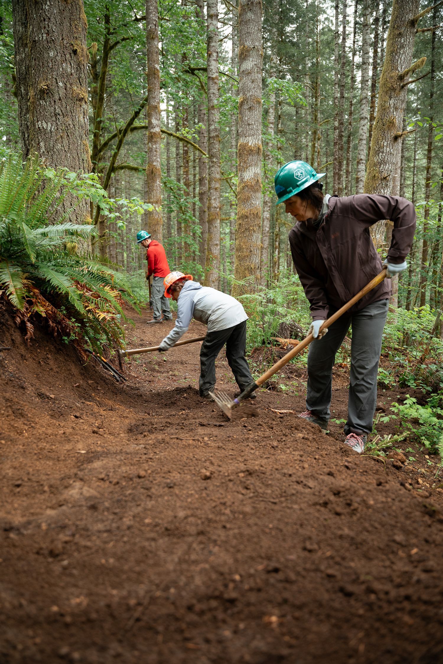 Three volunteers in green hard hats maintain a forest trail using rakes and shovels in a lush Pacific Northwest woodland.