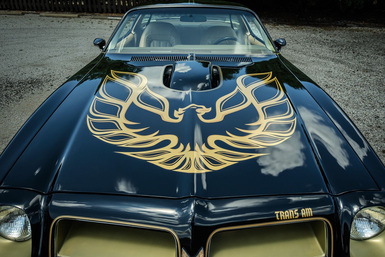 Black Pontiac Trans Am hood featuring iconic golden firebird emblem, a classic American muscle car detail shot.