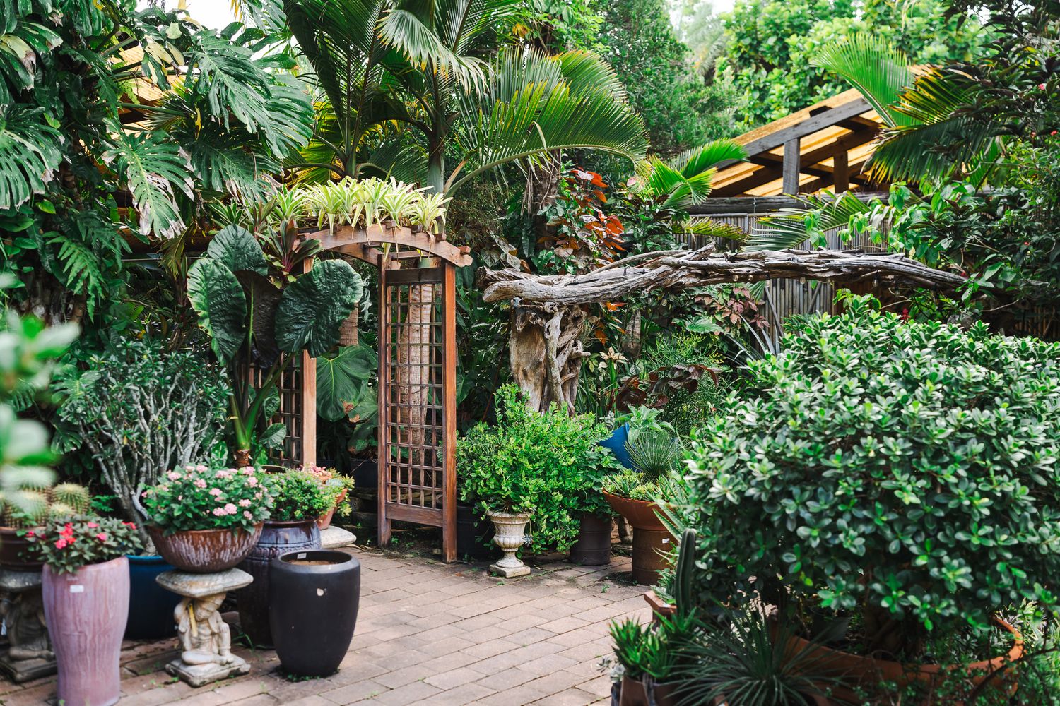 Lush tropical garden with wooden arbor, brick pathway, potted plants, and dense green foliage.