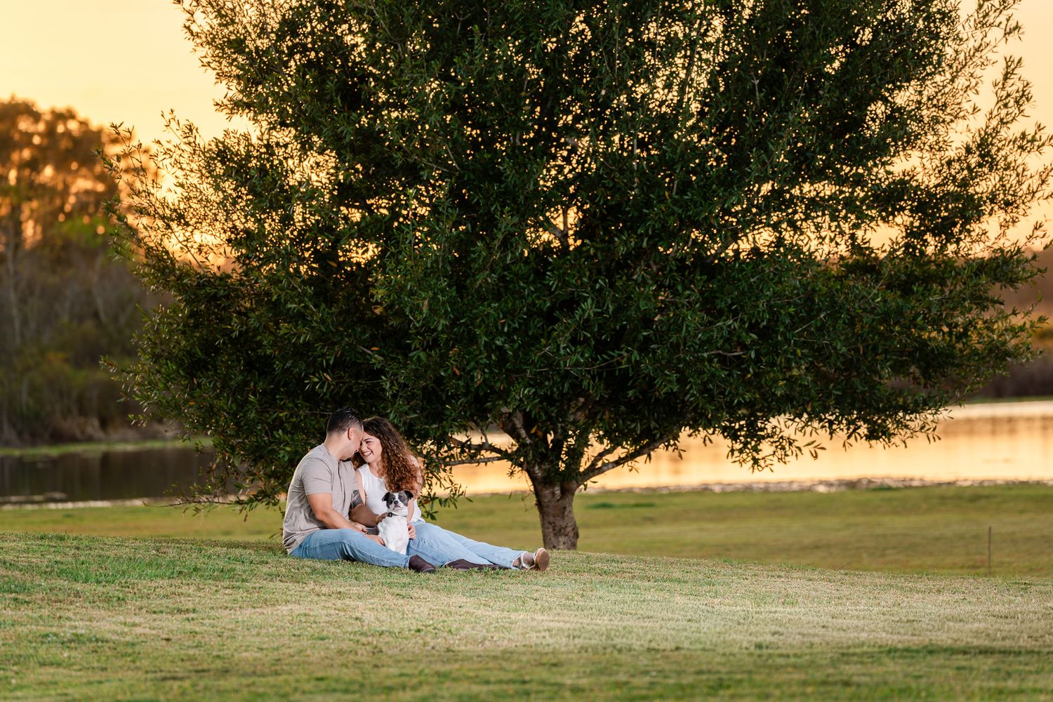 Couple shares intimate moment sitting on grass under tree at golden hour.