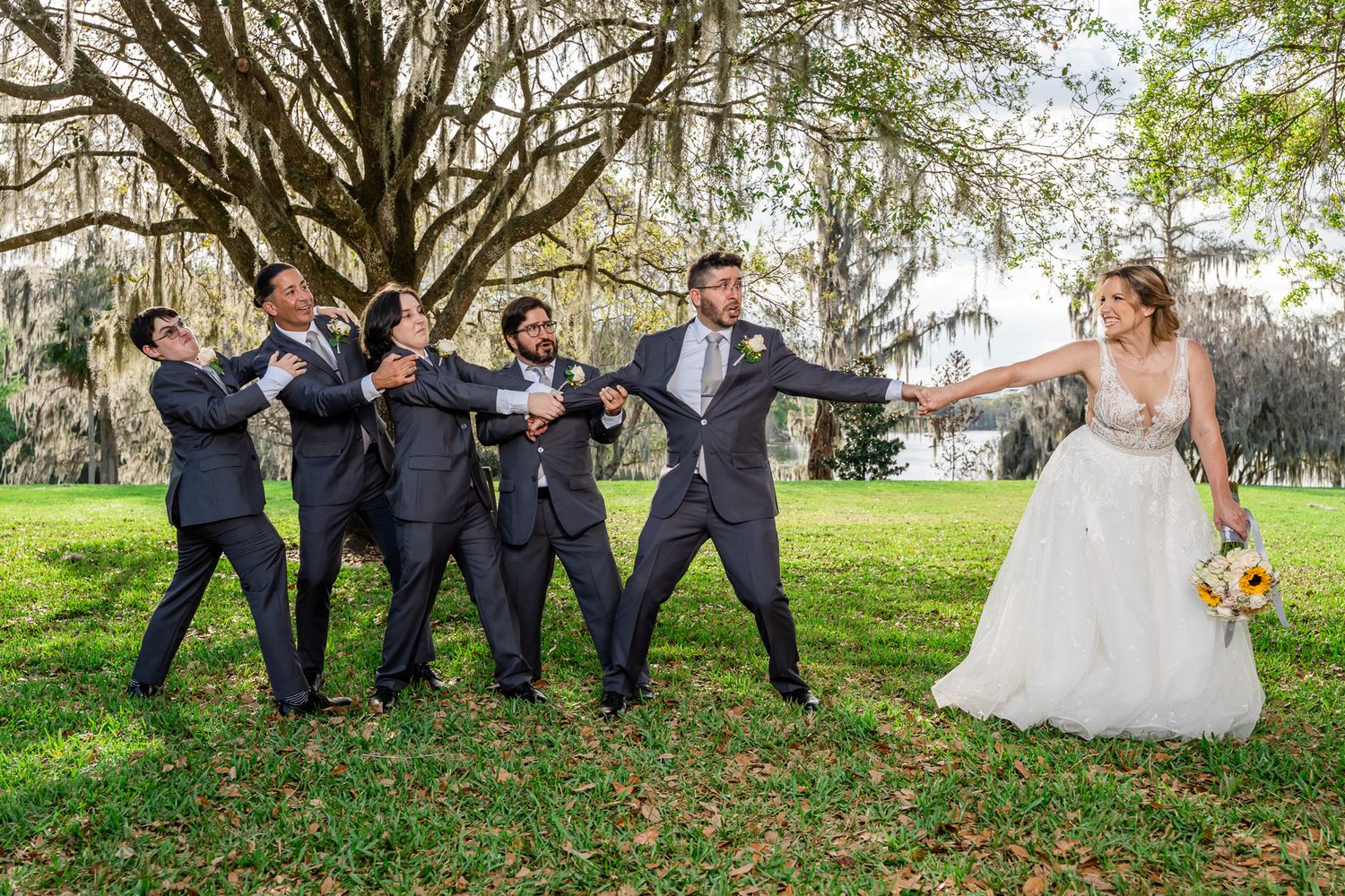 Fun wedding photo of groomsmen in gray suits playfully being pulled toward the bride in a white gown under an oak tree.