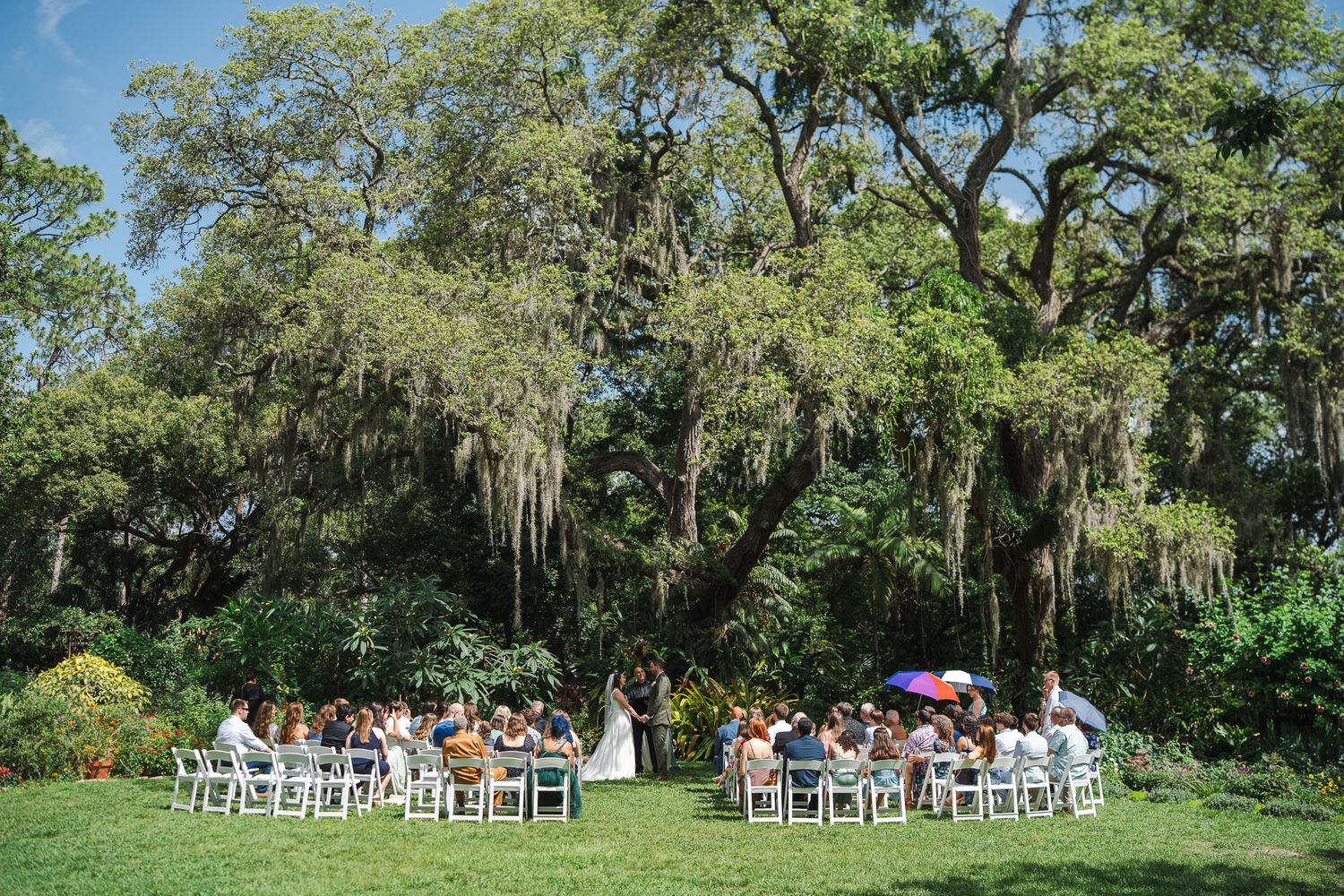 Wide aerial view of intimate outdoor wedding ceremony on lawn beneath large moss-covered oak trees.
